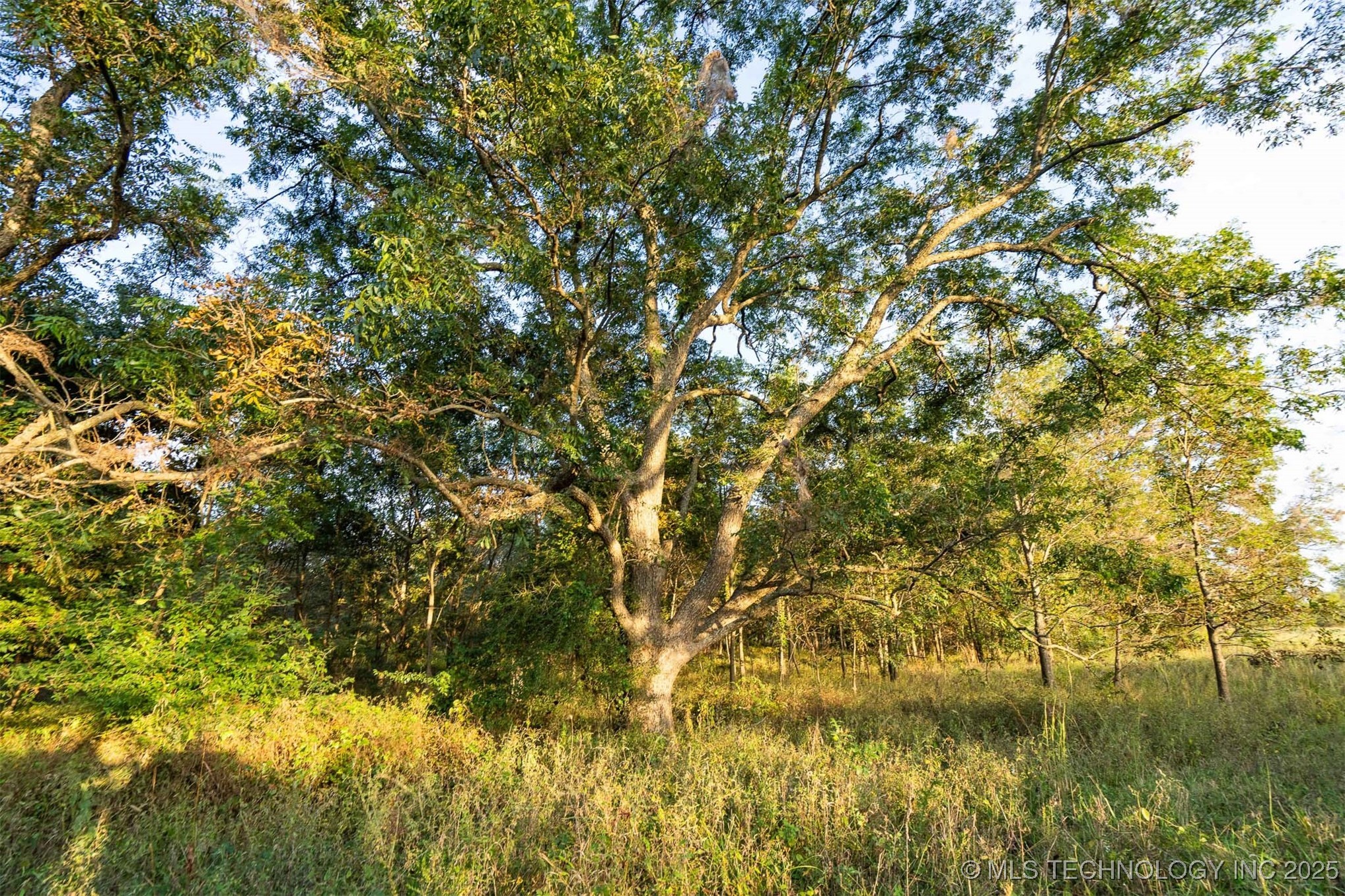 154th Street W Property Photo 36