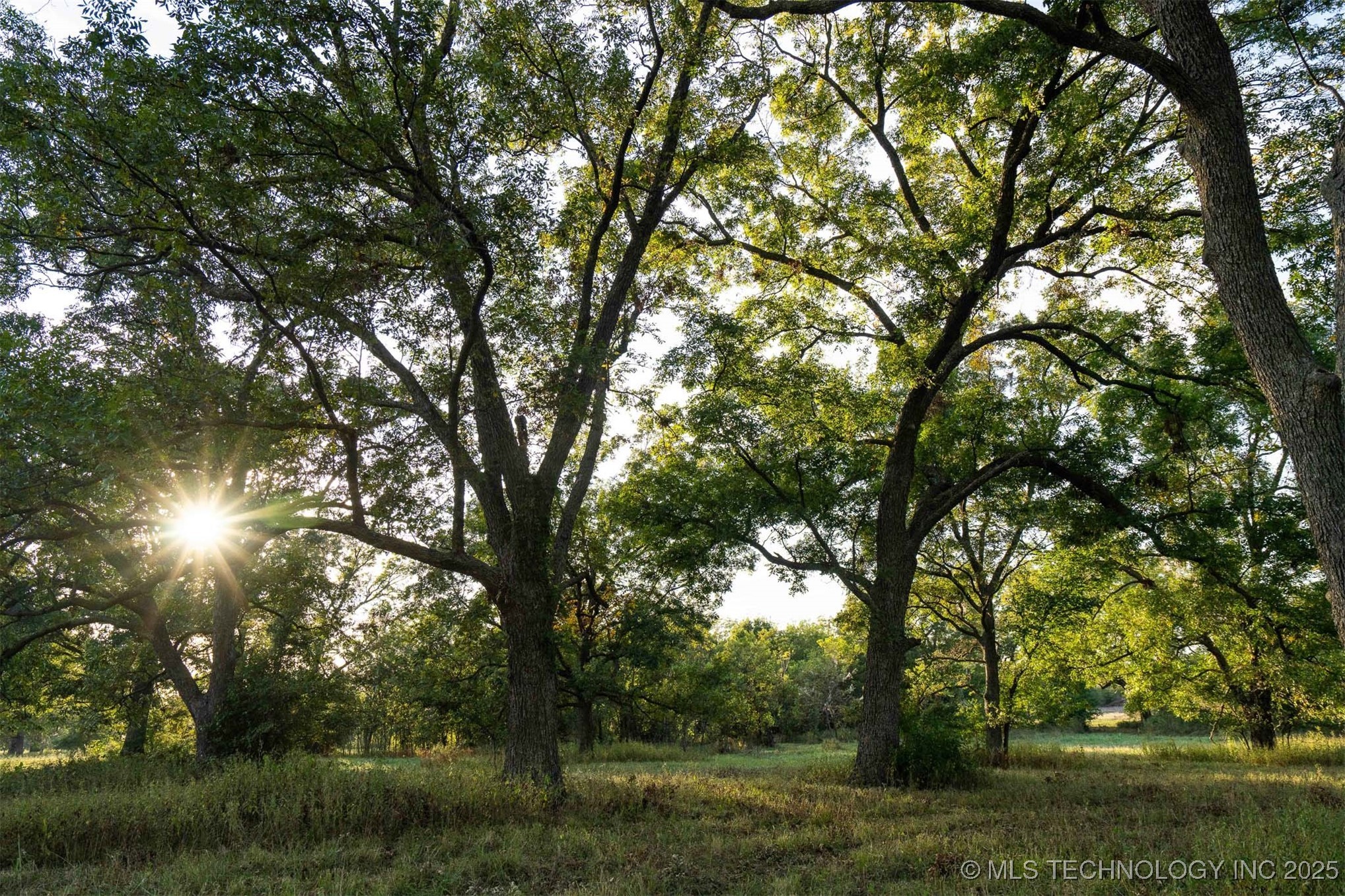 154th Street W Property Photo 37