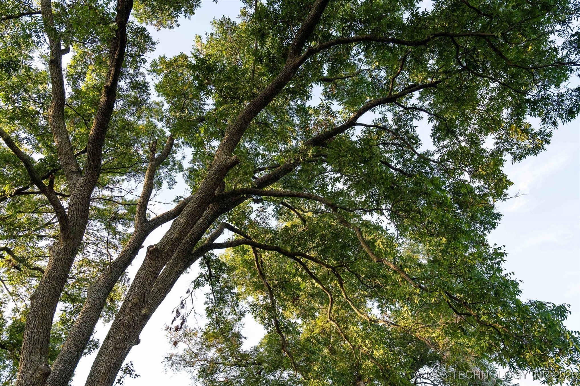 154th Street W Property Photo 62