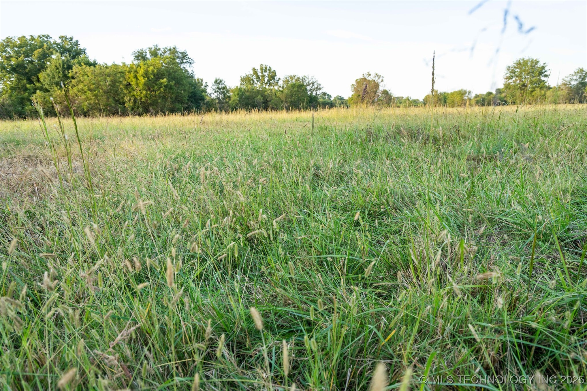 154th Street W Property Photo 63