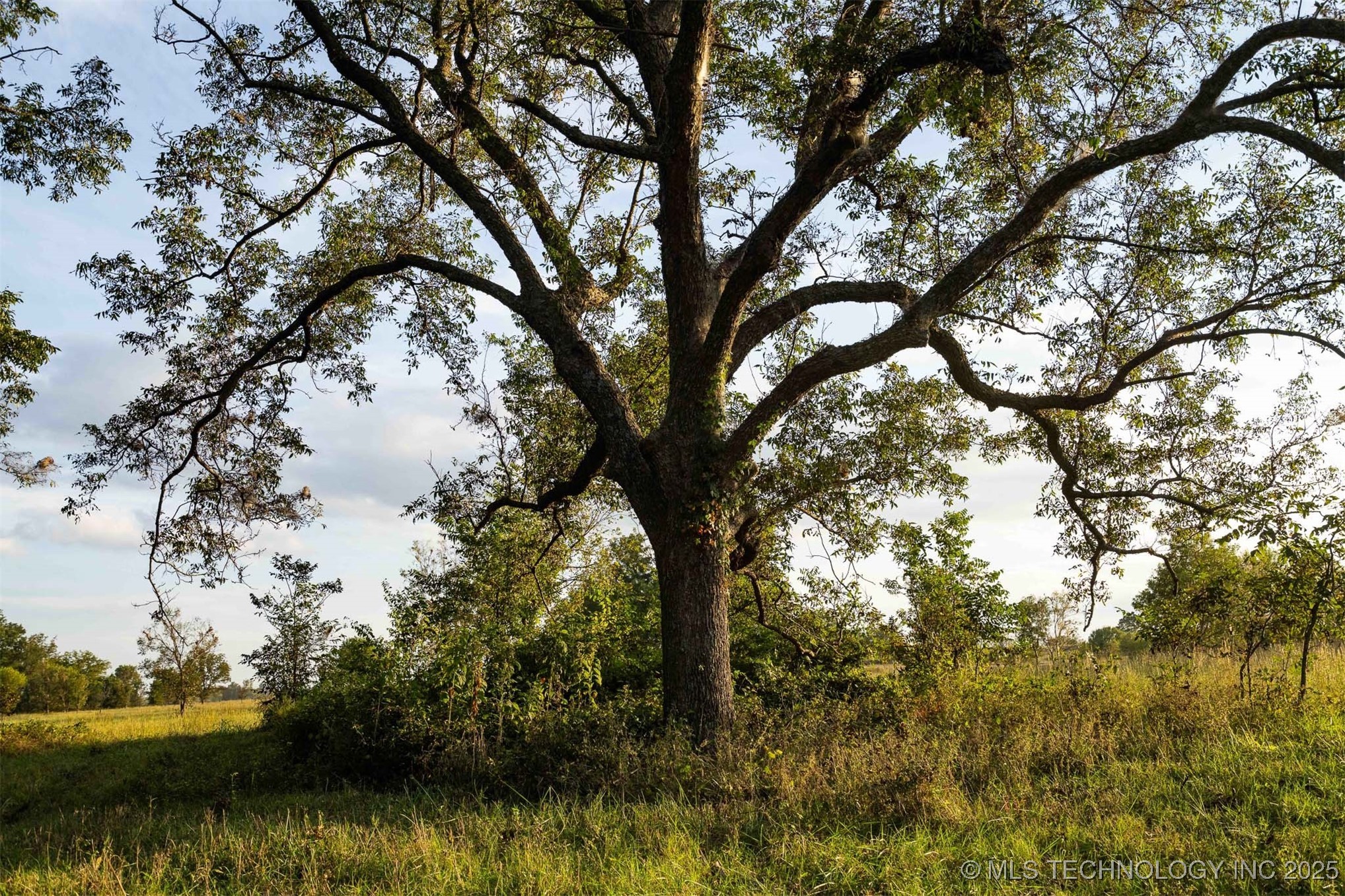 154th Street W Property Photo 64