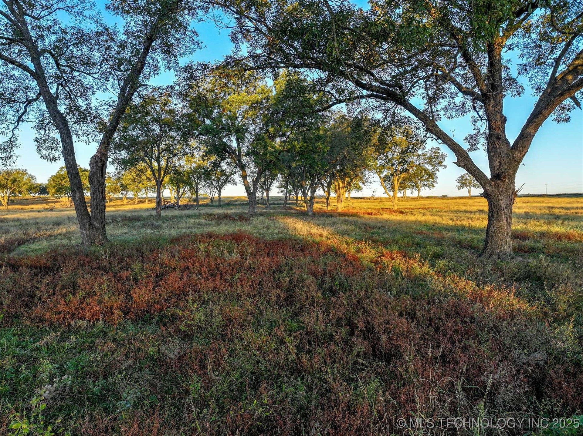 Hwy 16 Property Photo 15