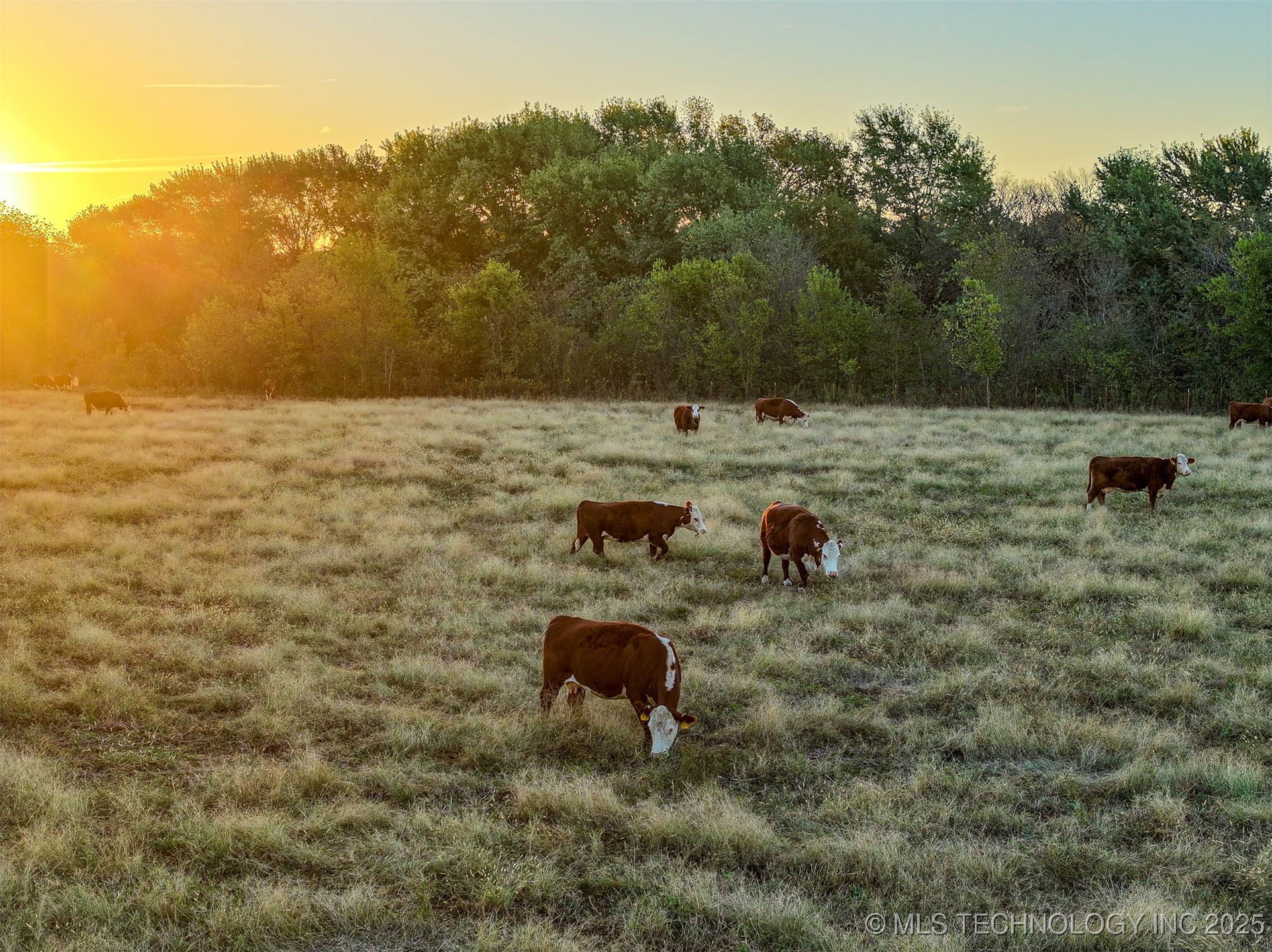 Hwy 16 Property Photo 18