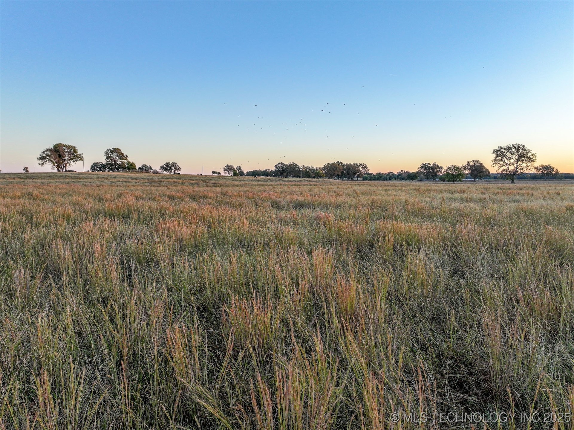 Hwy 16 Property Photo 20