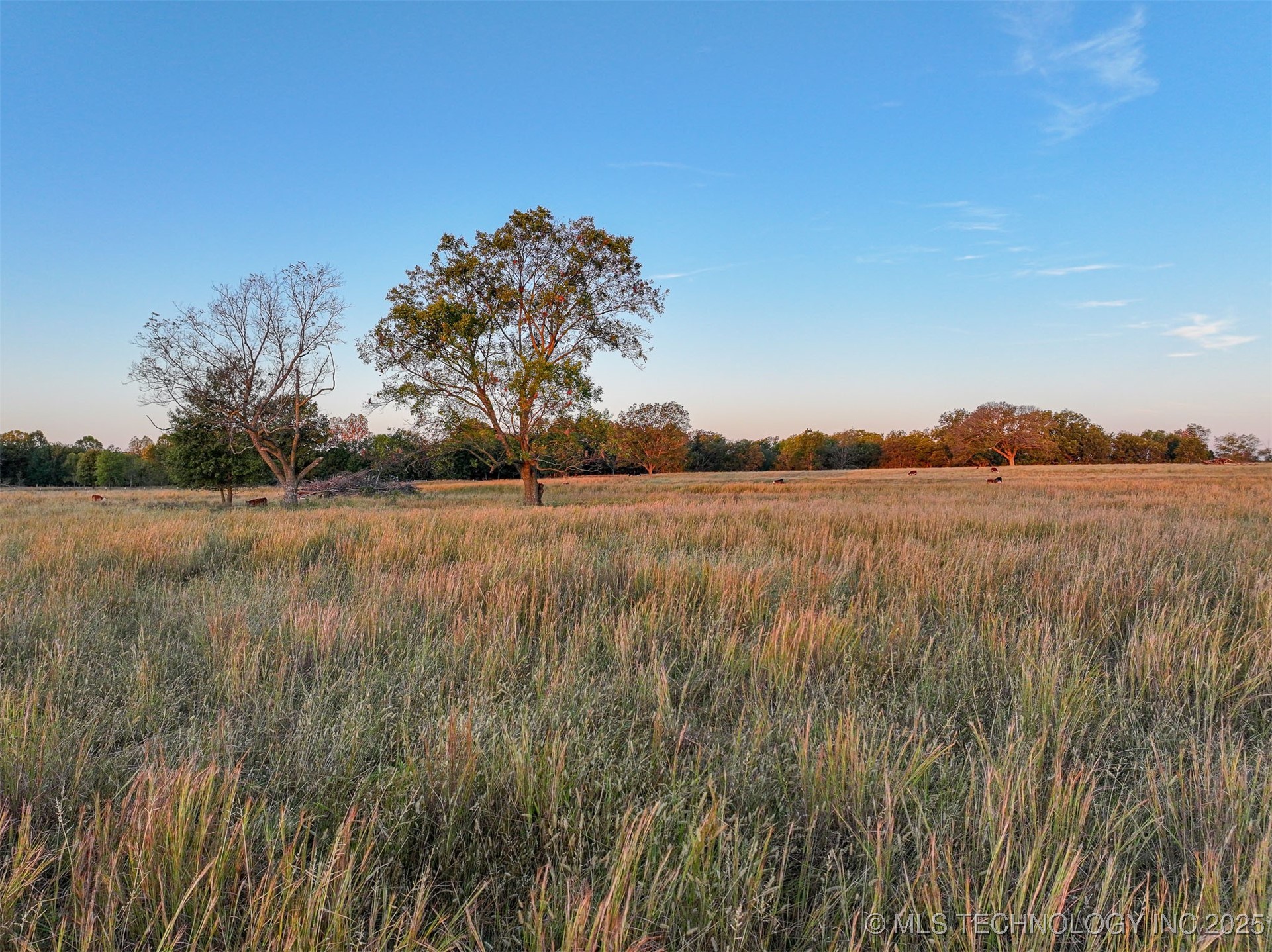 Hwy 16 Property Photo 21