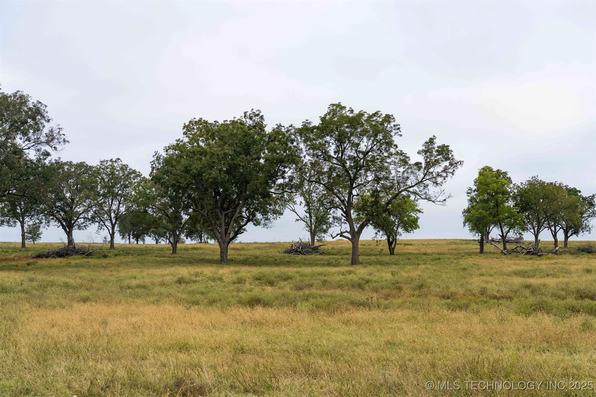 Hwy 16 Property Photo 24