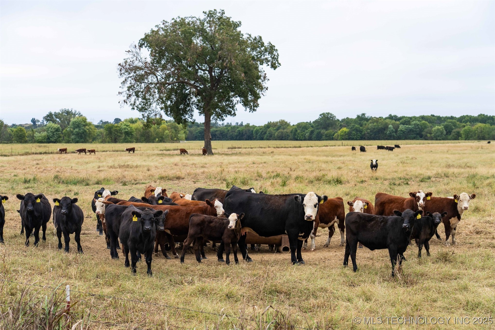 Hwy 16 Property Photo 25