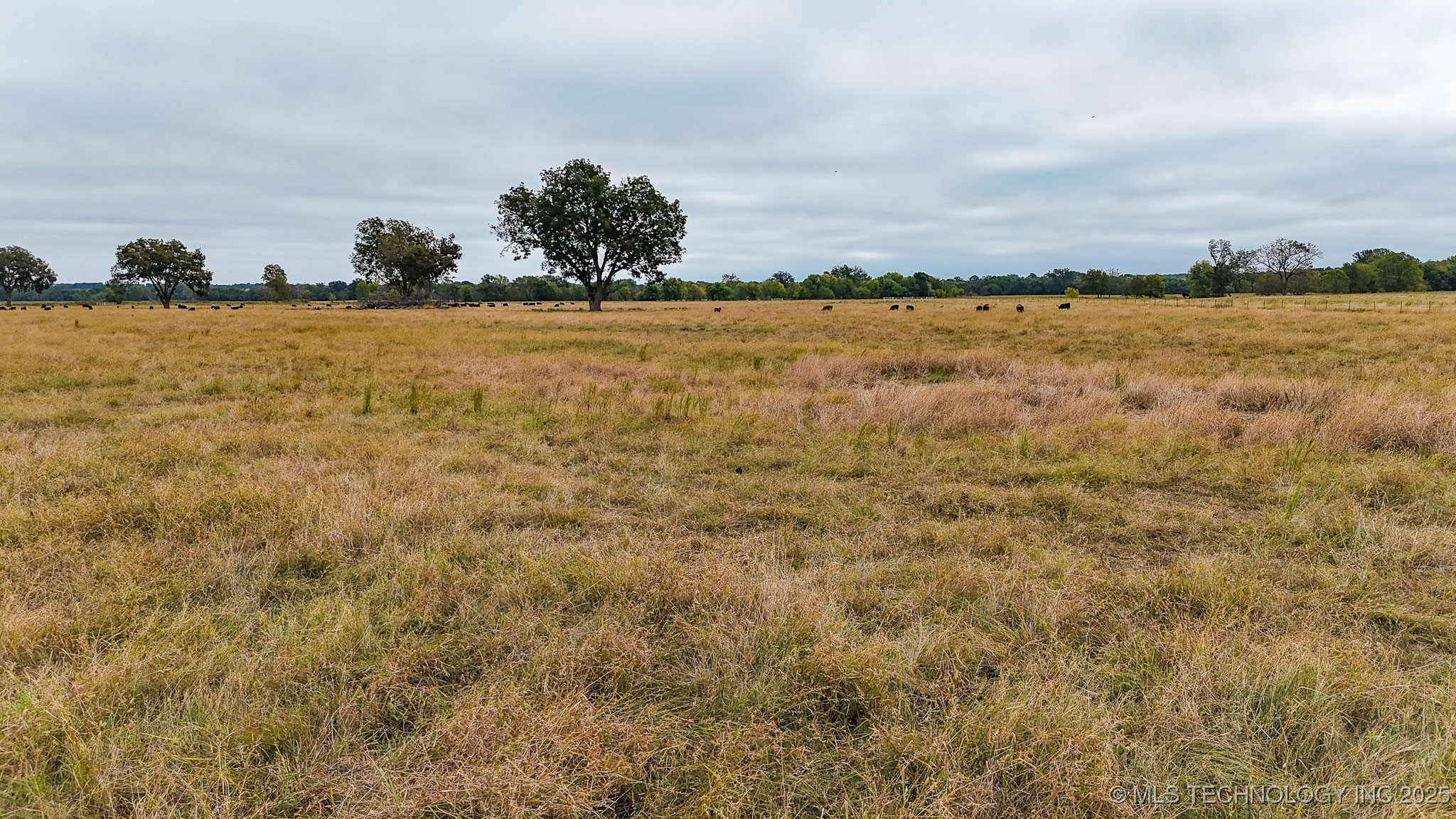 Hwy 16 Property Photo 31