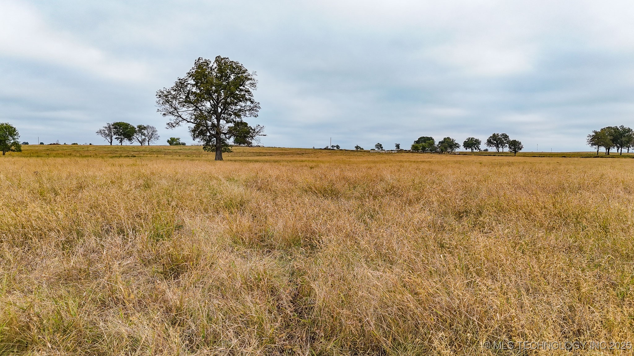 Hwy 16 Property Photo 32