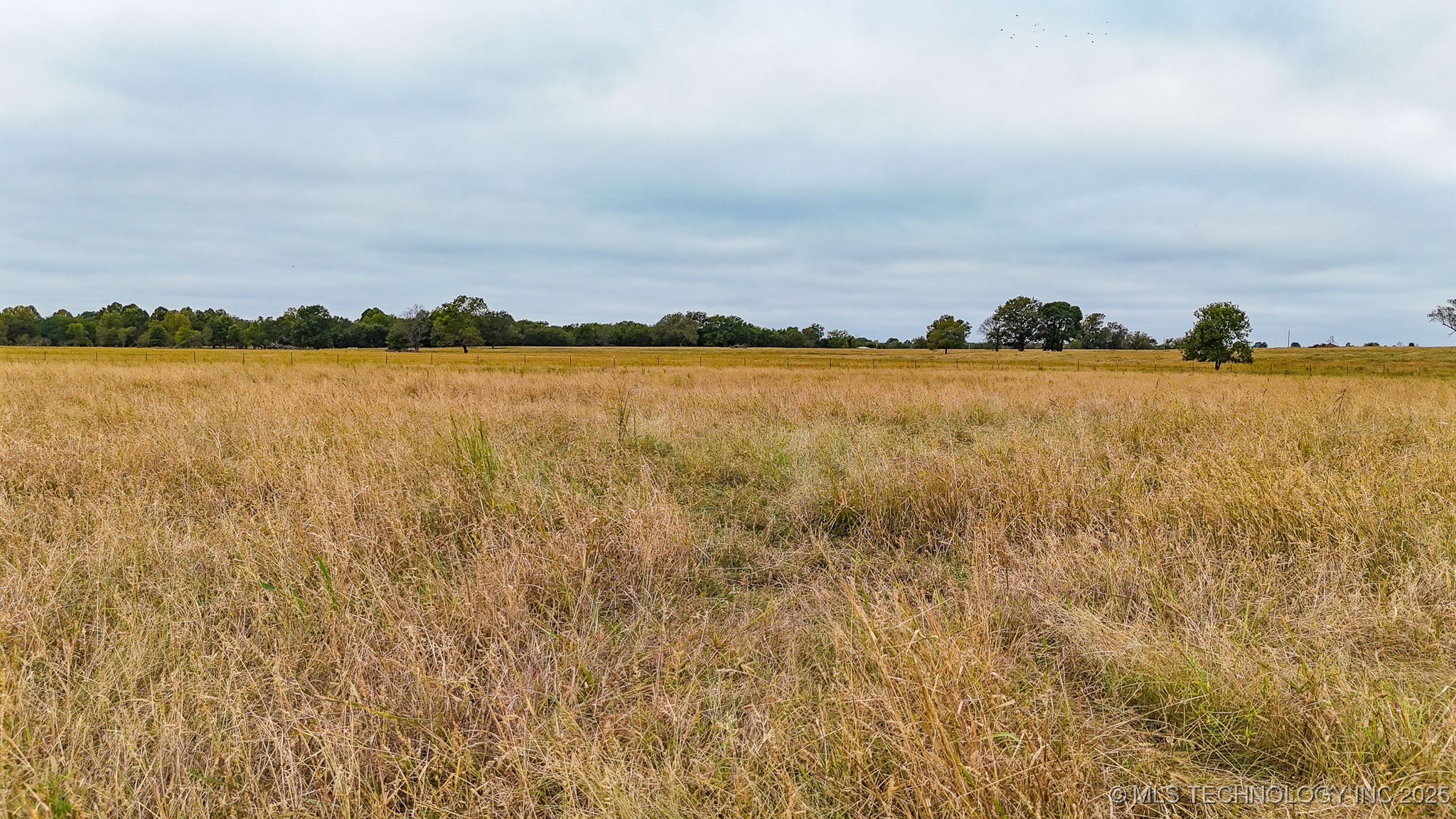 Hwy 16 Property Photo 33