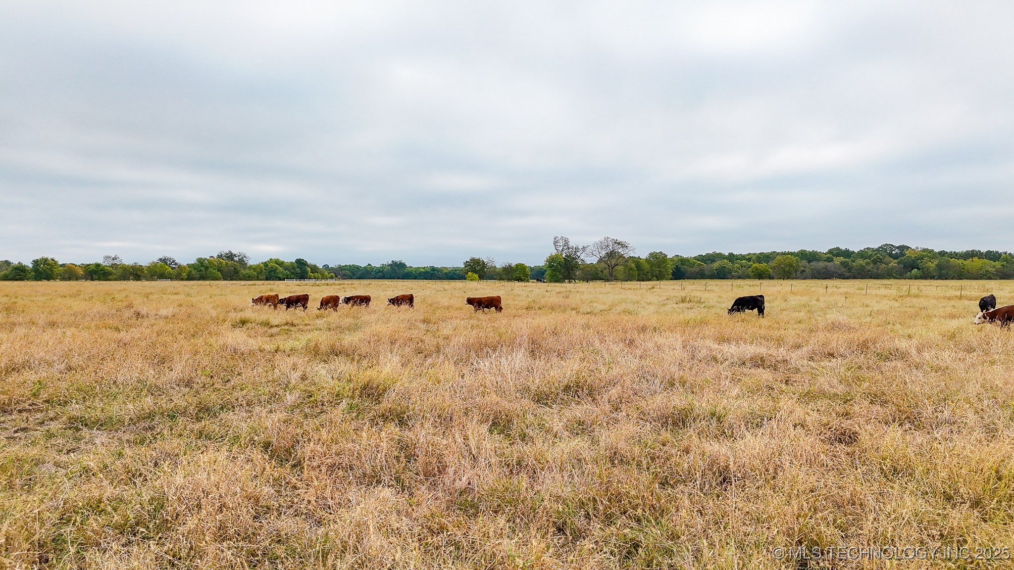 Hwy 16 Property Photo 34