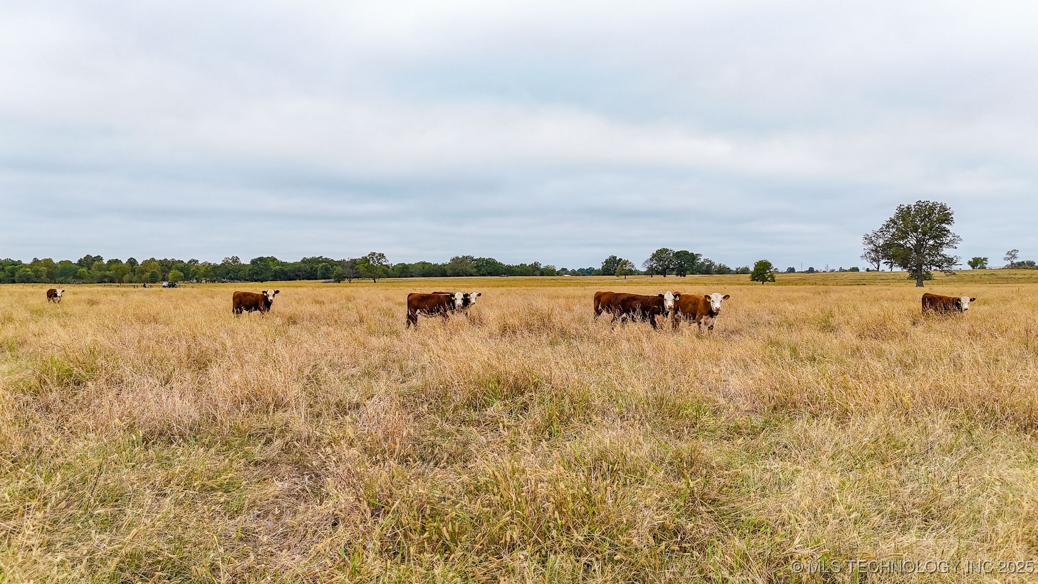 Hwy 16 Property Photo 35