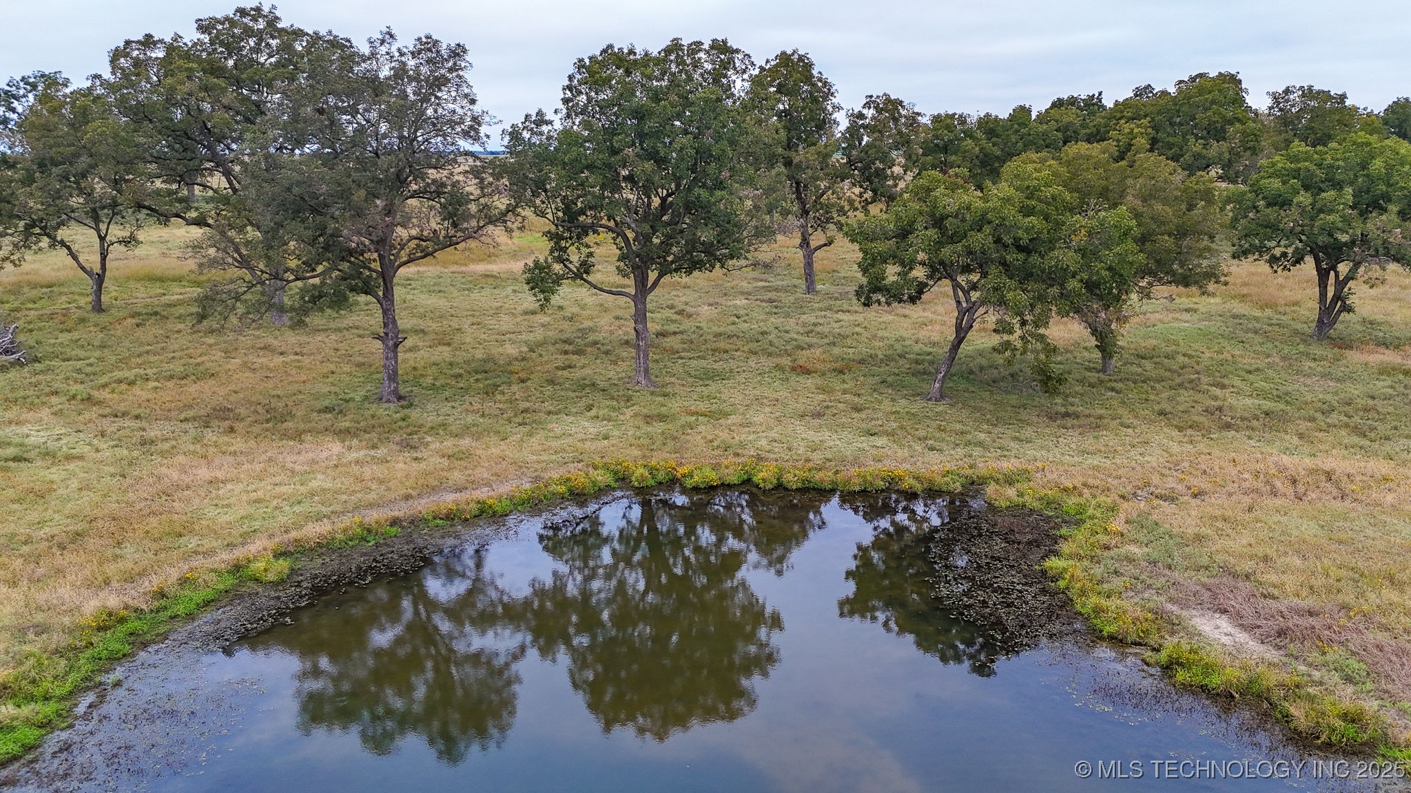 Hwy 16 Property Photo 39