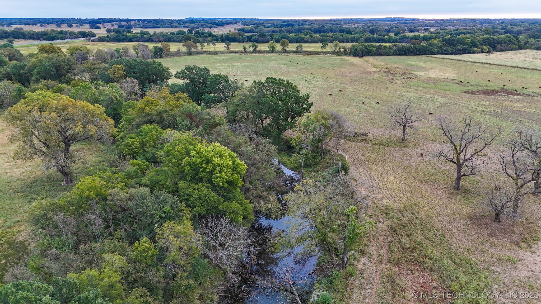 Hwy 16 Property Photo 40