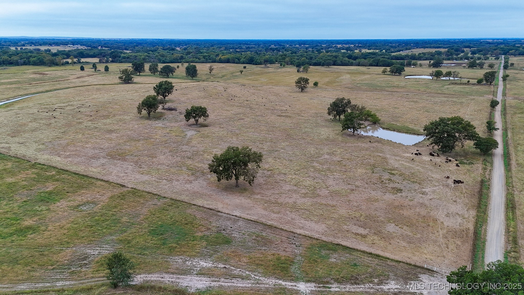 Hwy 16 Property Photo 43