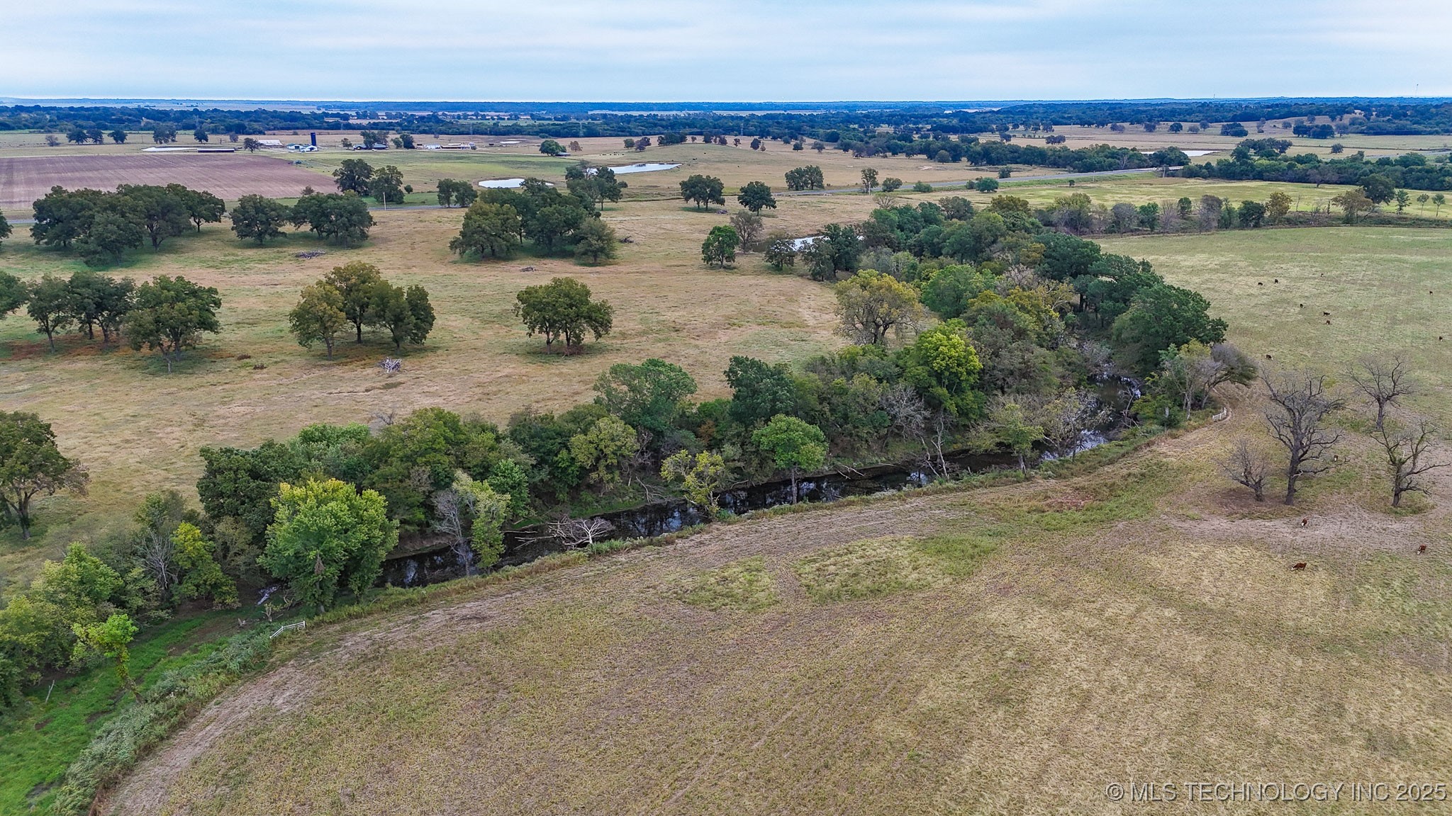 Hwy 16 Property Photo 46