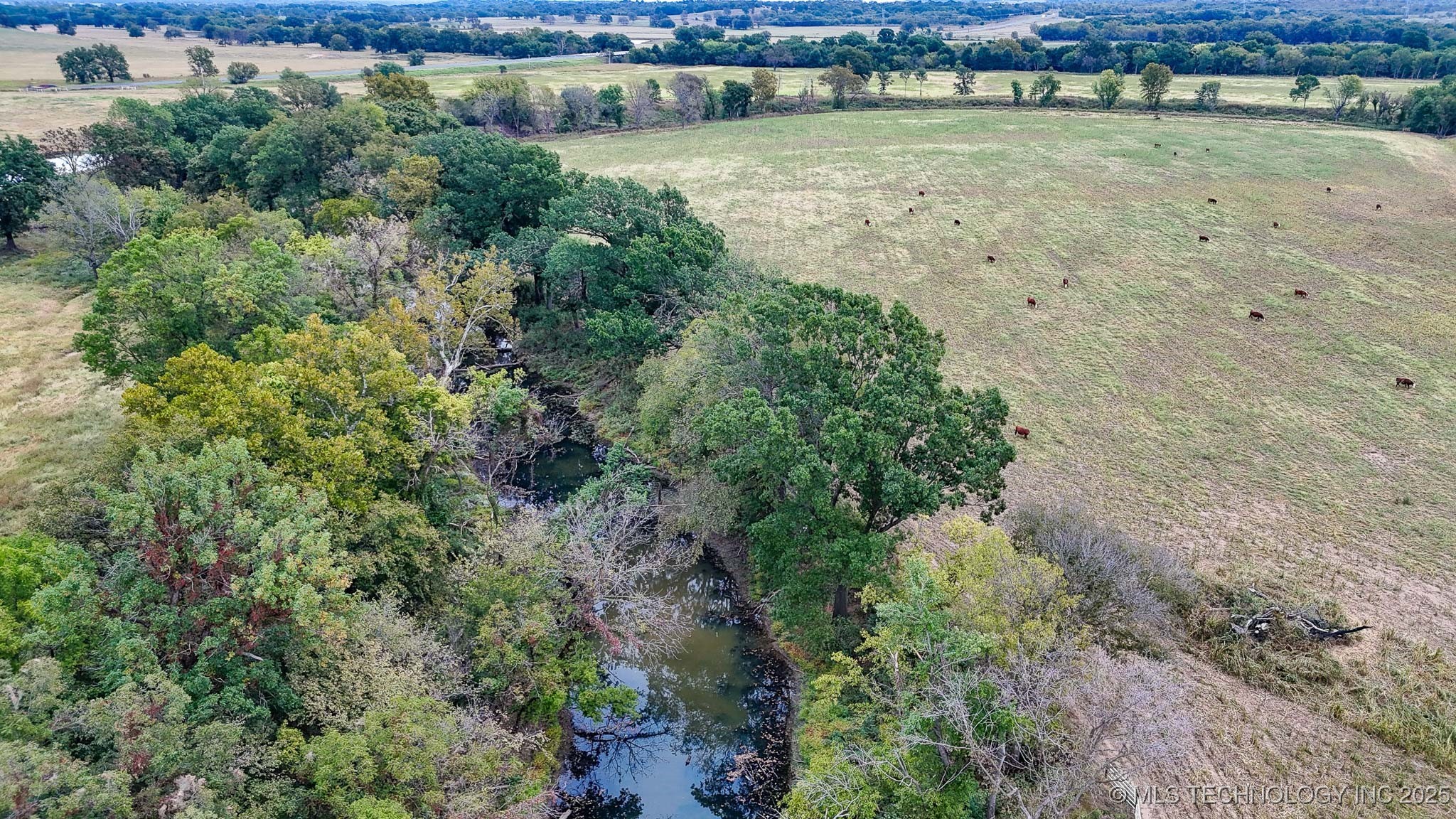 Hwy 16 Property Photo 49