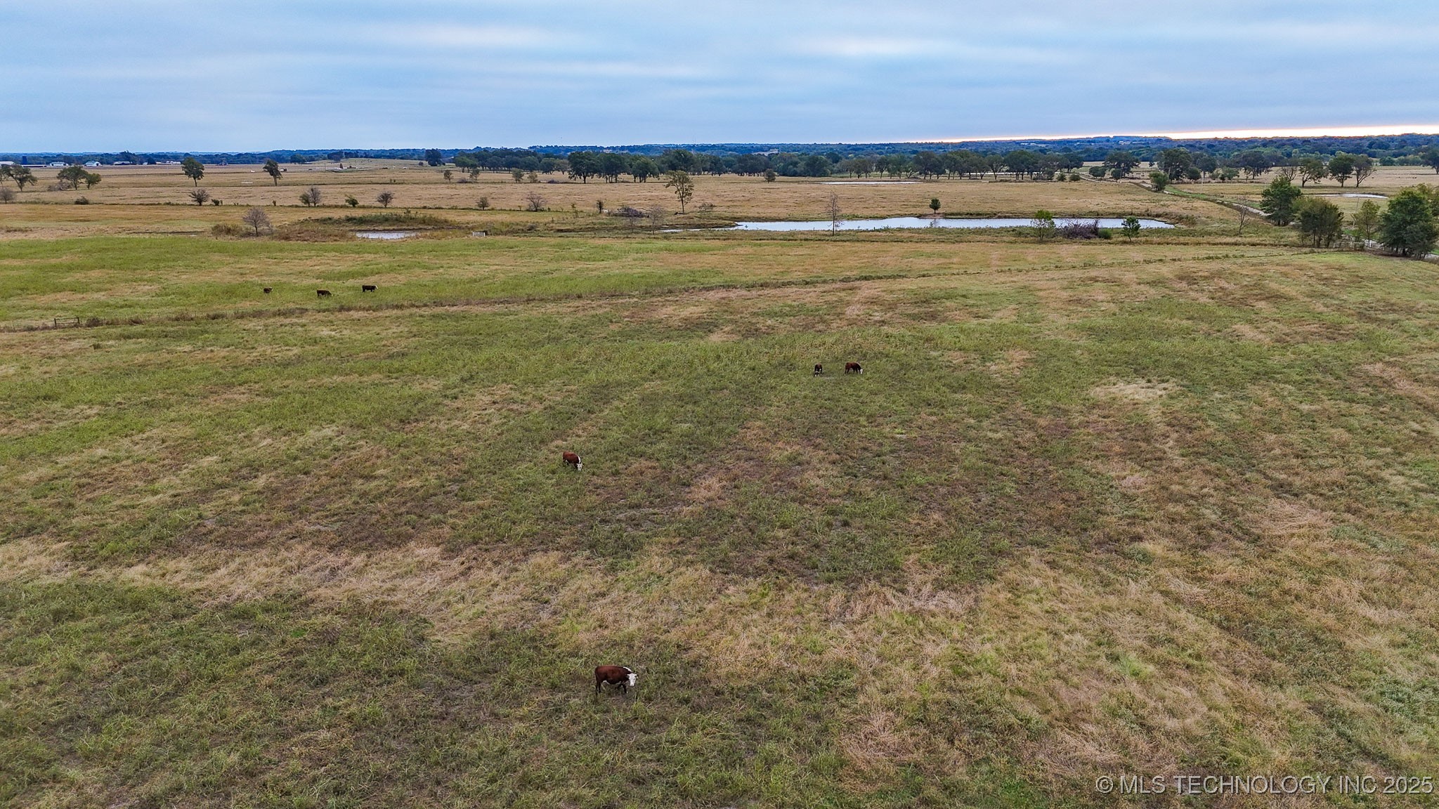 Hwy 16 Property Photo 54