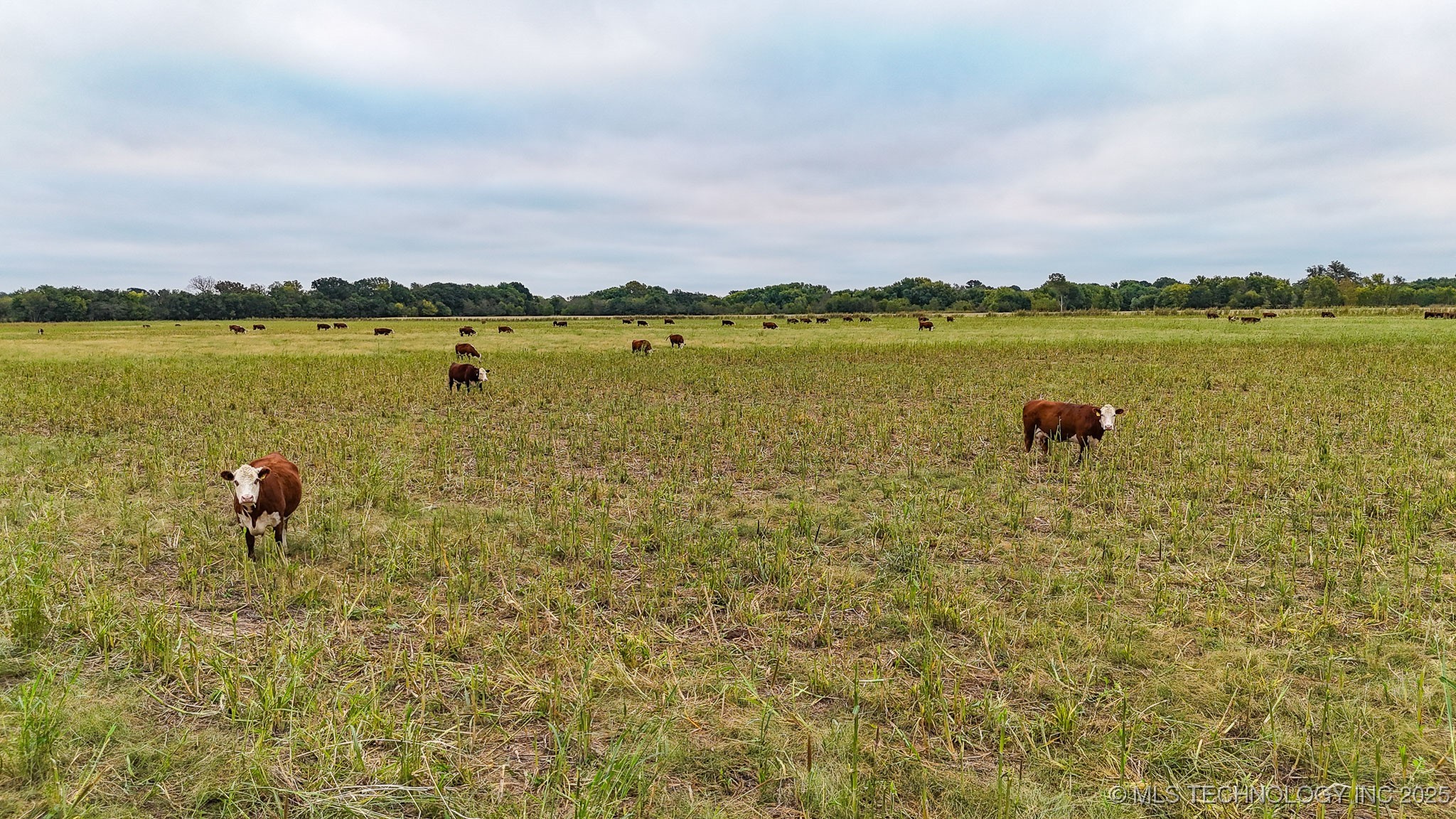 Hwy 16 Property Photo 57