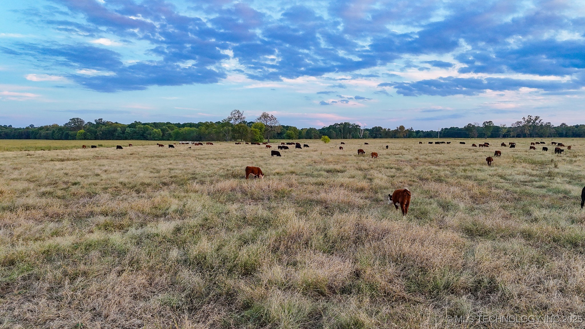 Hwy 16 Property Photo 68