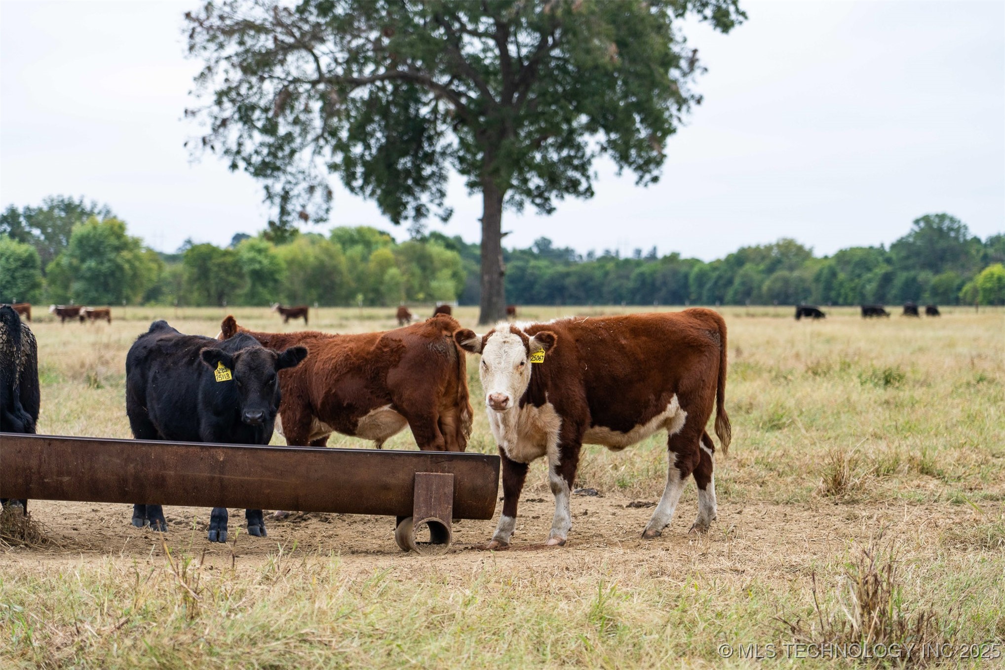 Hwy 16 Property Photo 72