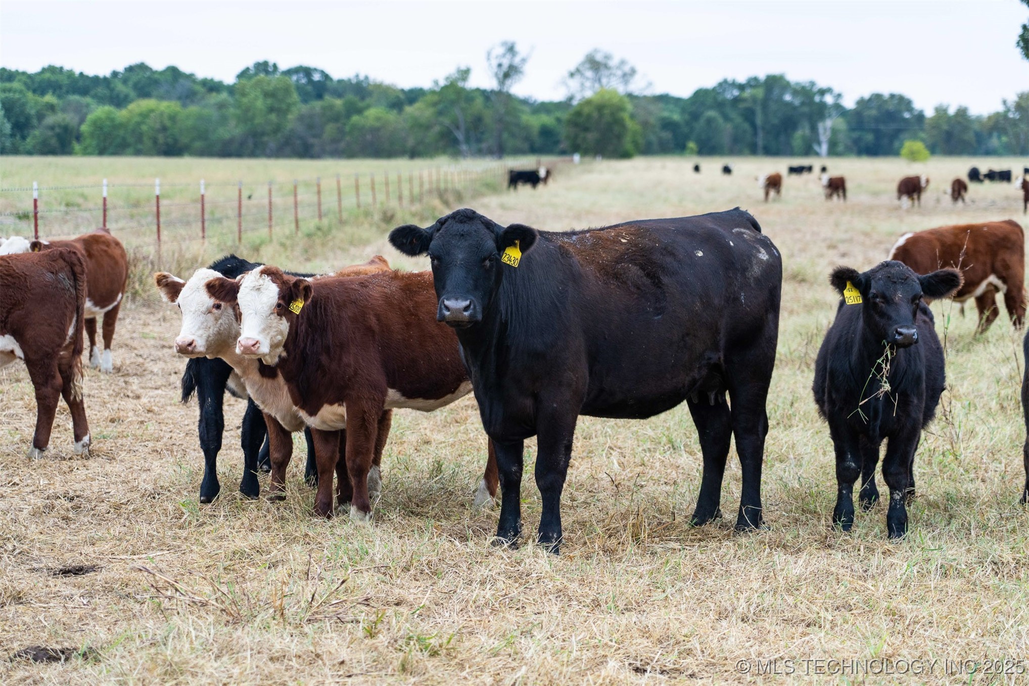 Hwy 16 Property Photo 73