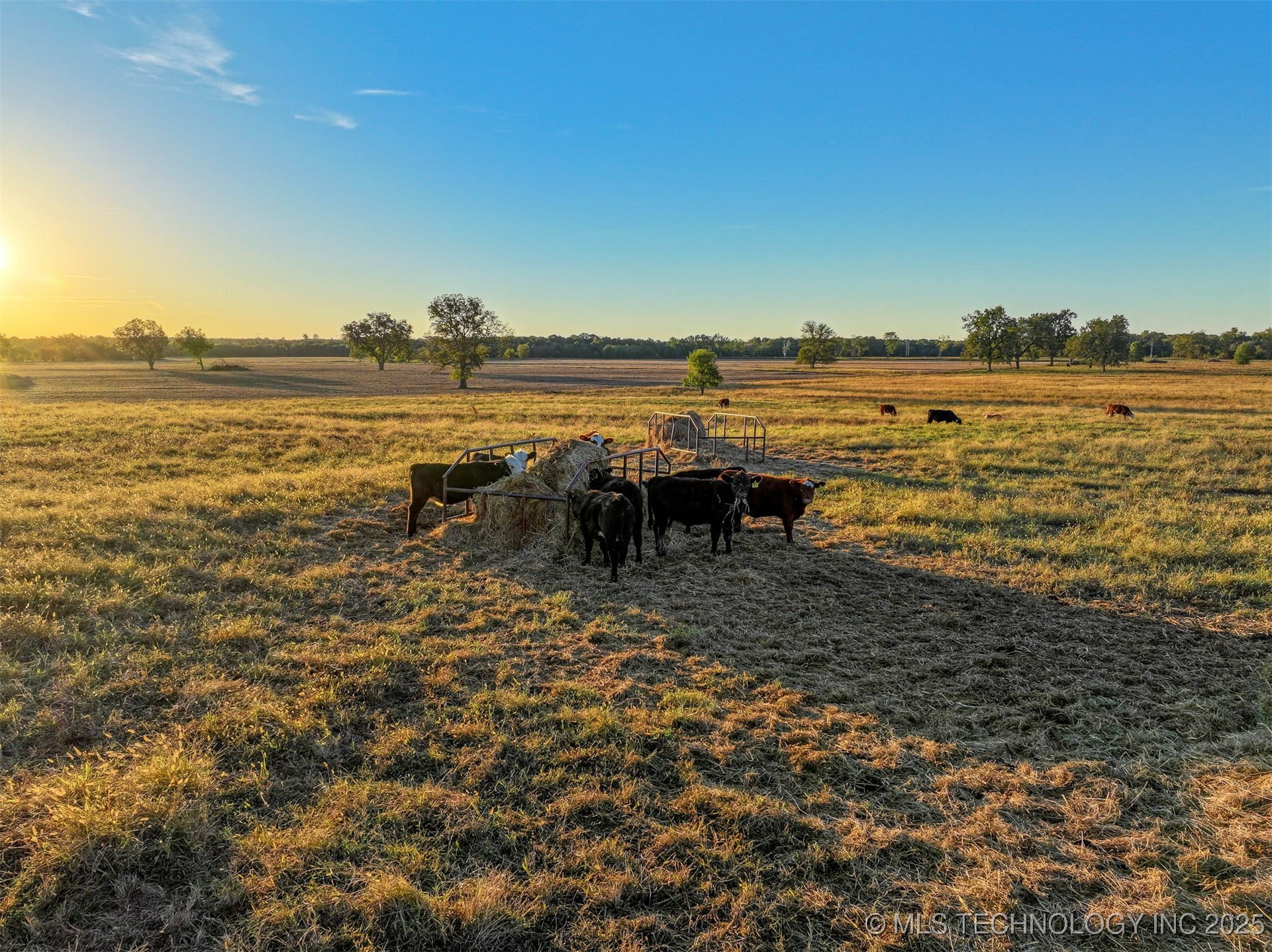 Hwy 16 Property Photo 76