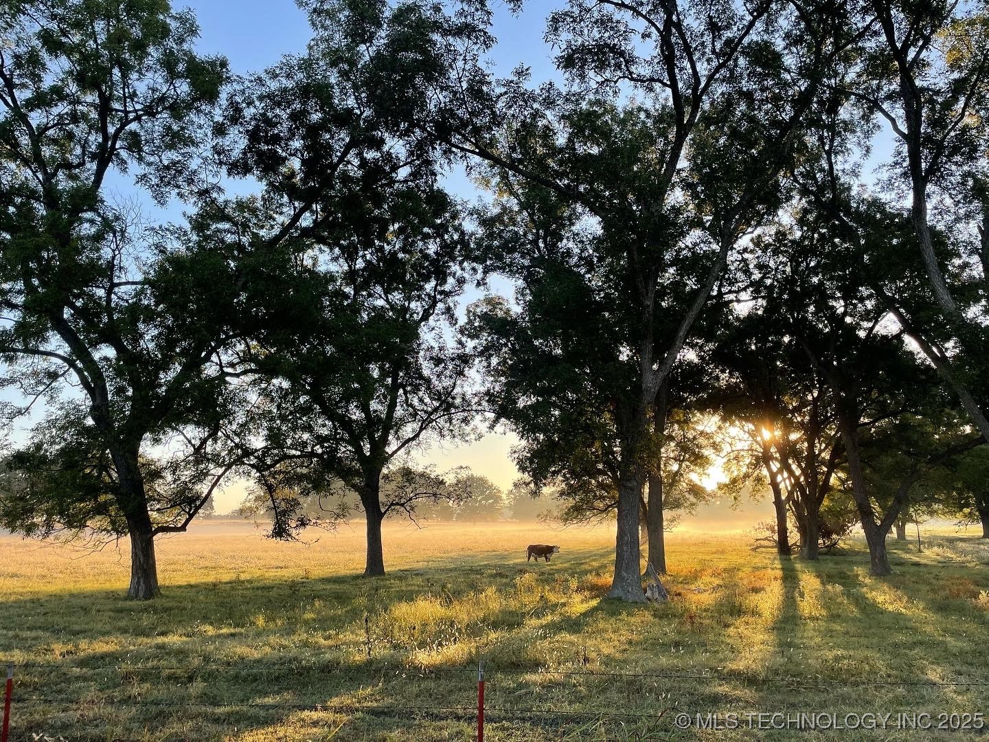 Hwy 16 Property Photo 84