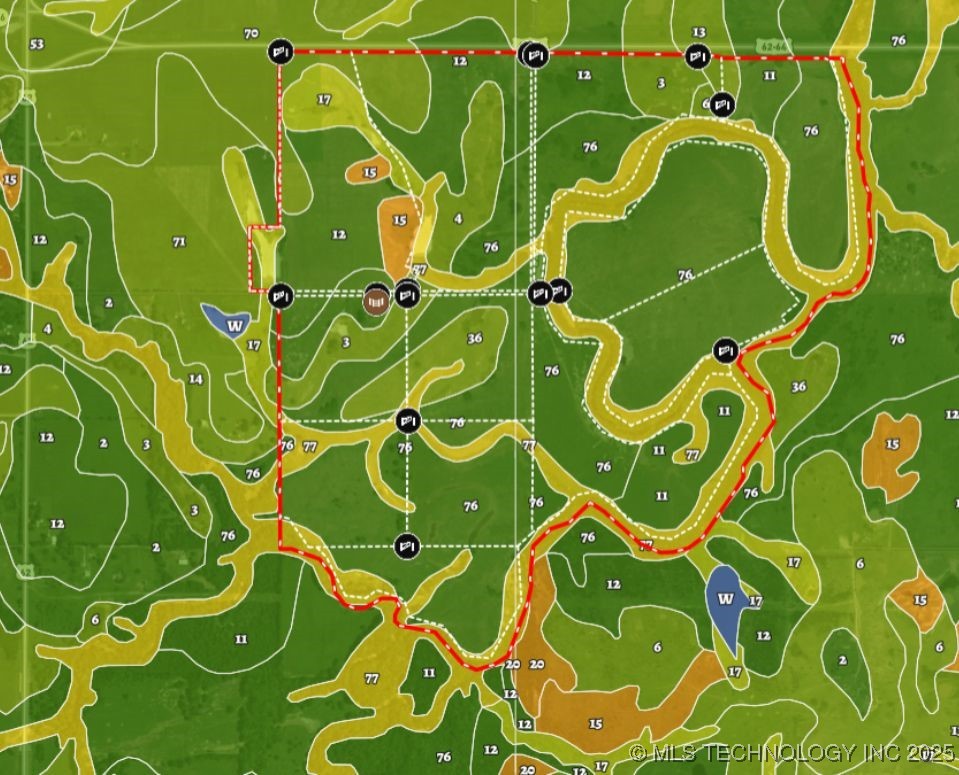 Hwy 16 Property Photo 89