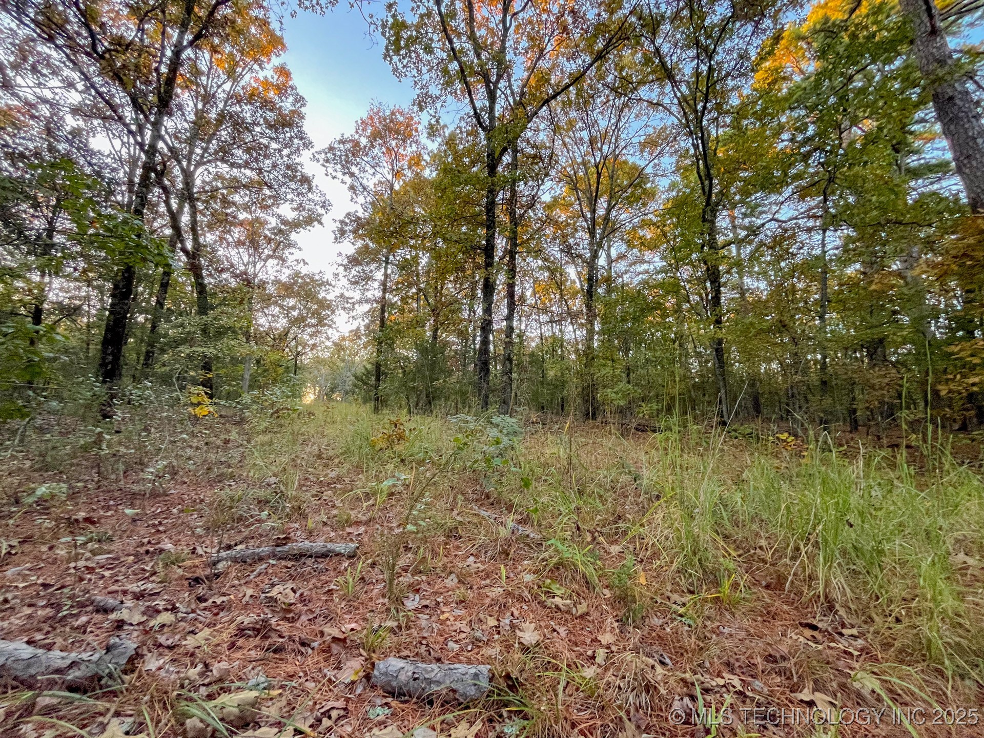 80 E 1000 Road Property Photo 4