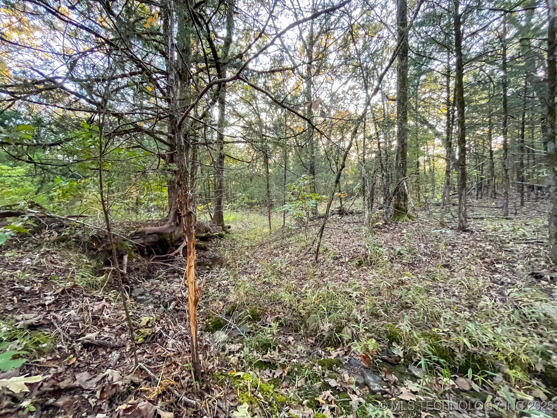 80 E 1000 Road Property Photo 6