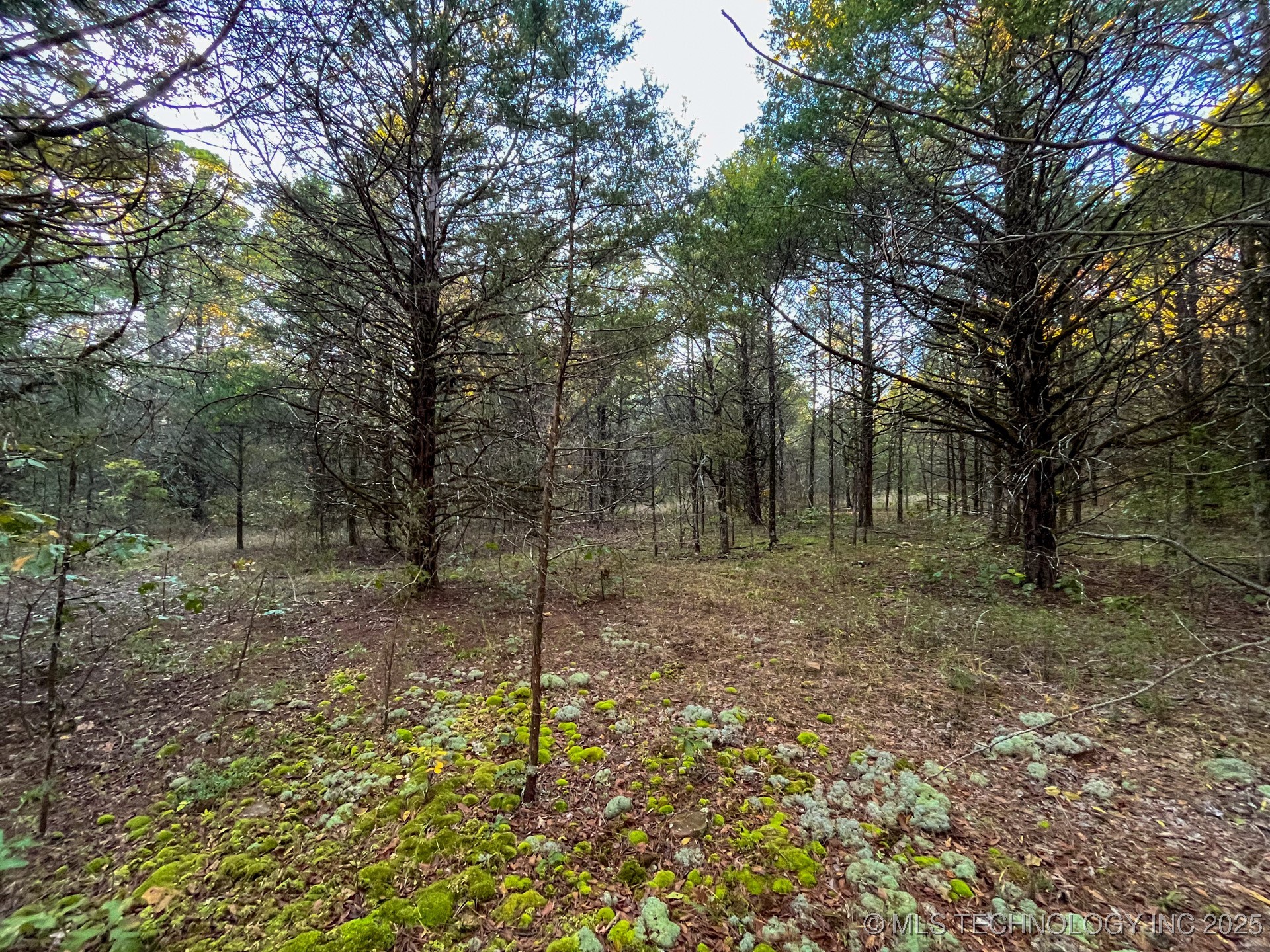 80 E 1000 Road Property Photo 8