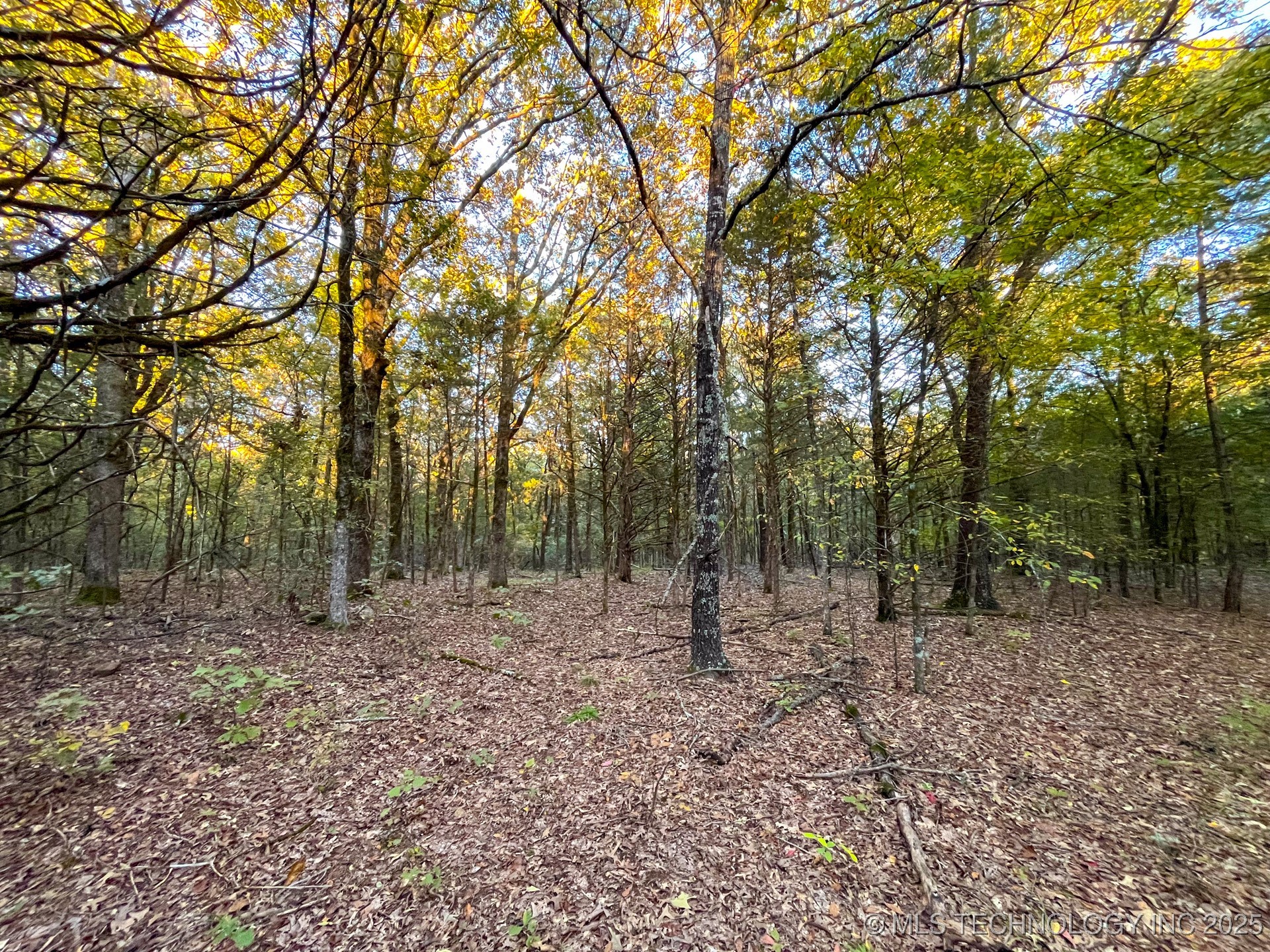 80 E 1000 Road Property Photo 9