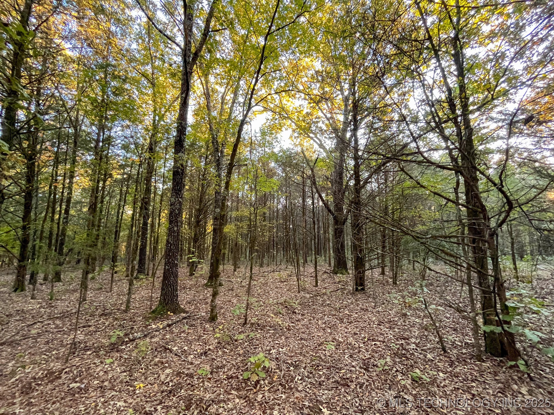 80 E 1000 Road Property Photo 10