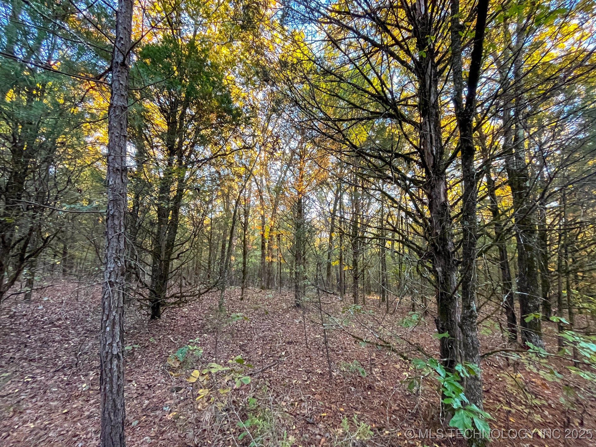 80 E 1000 Road Property Photo 11