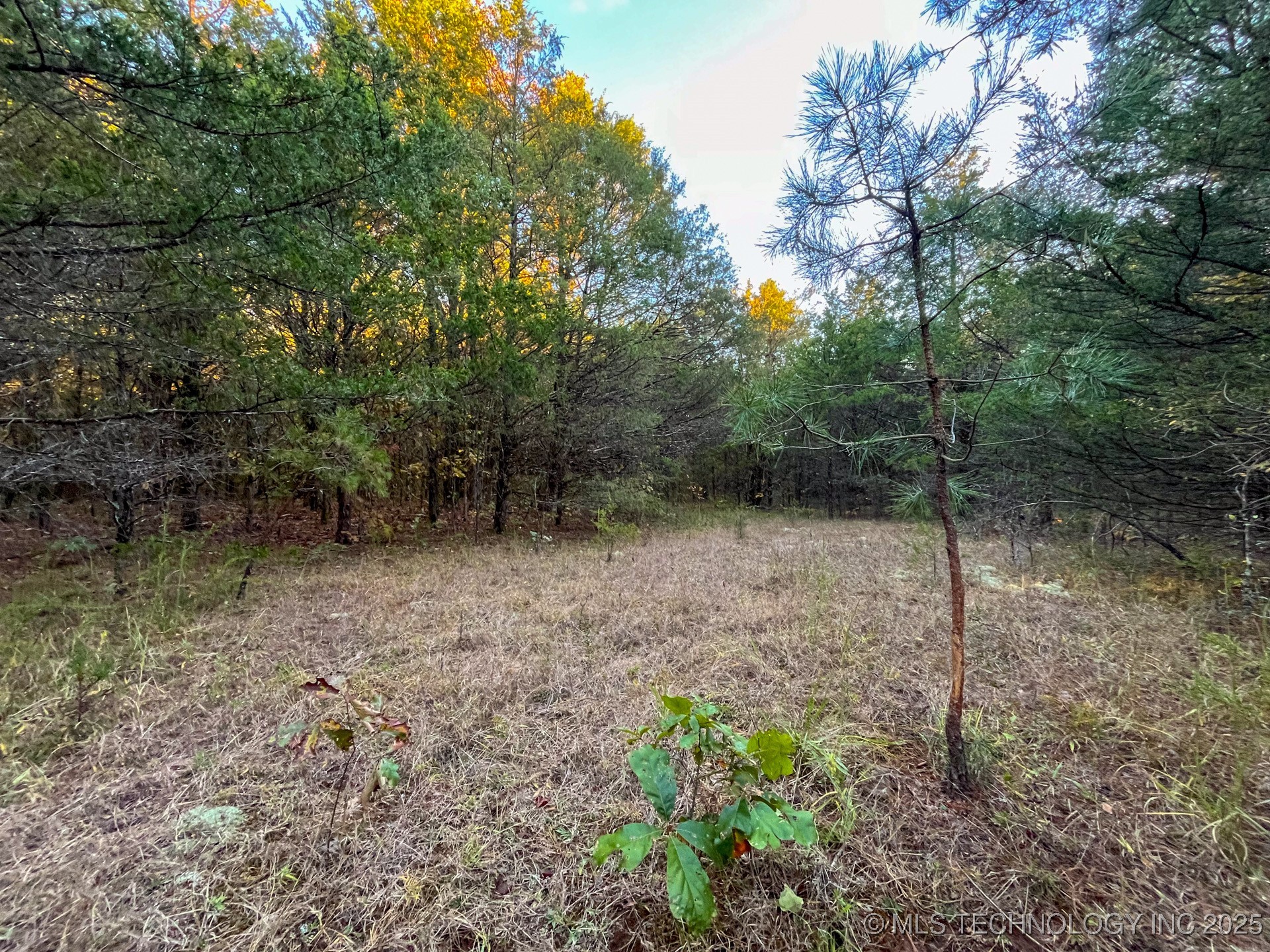 80 E 1000 Road Property Photo 13