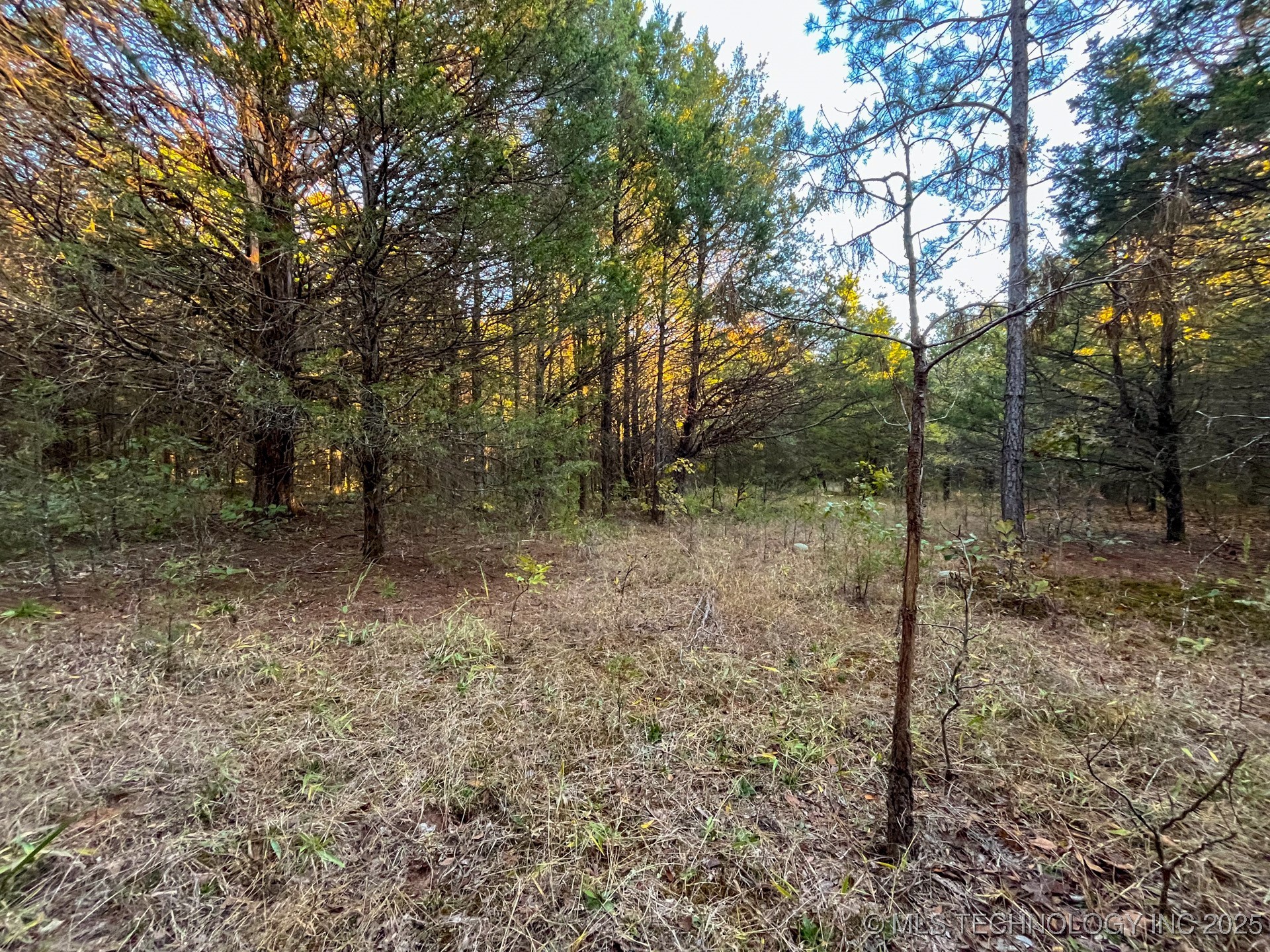 80 E 1000 Road Property Photo 14