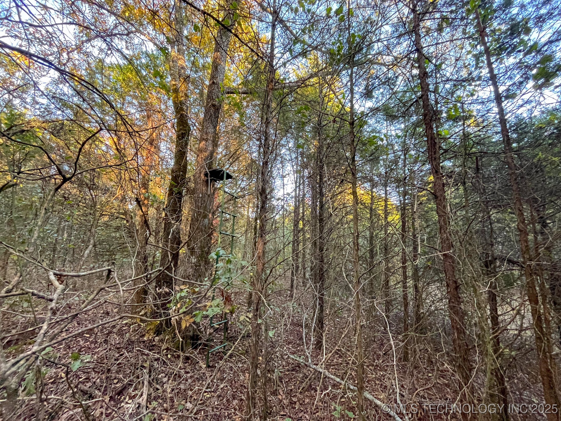 80 E 1000 Road Property Photo 16