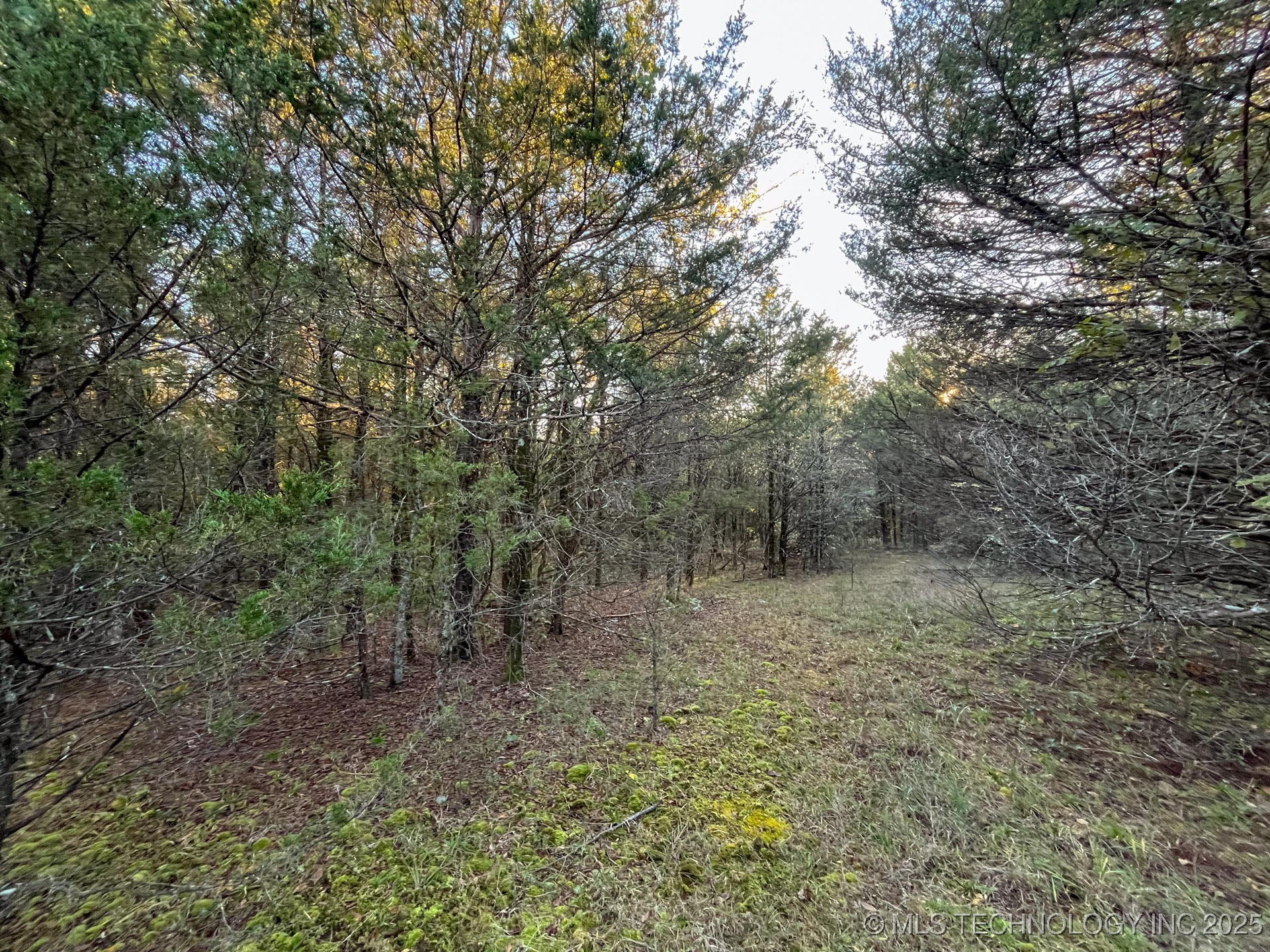 80 E 1000 Road Property Photo 17