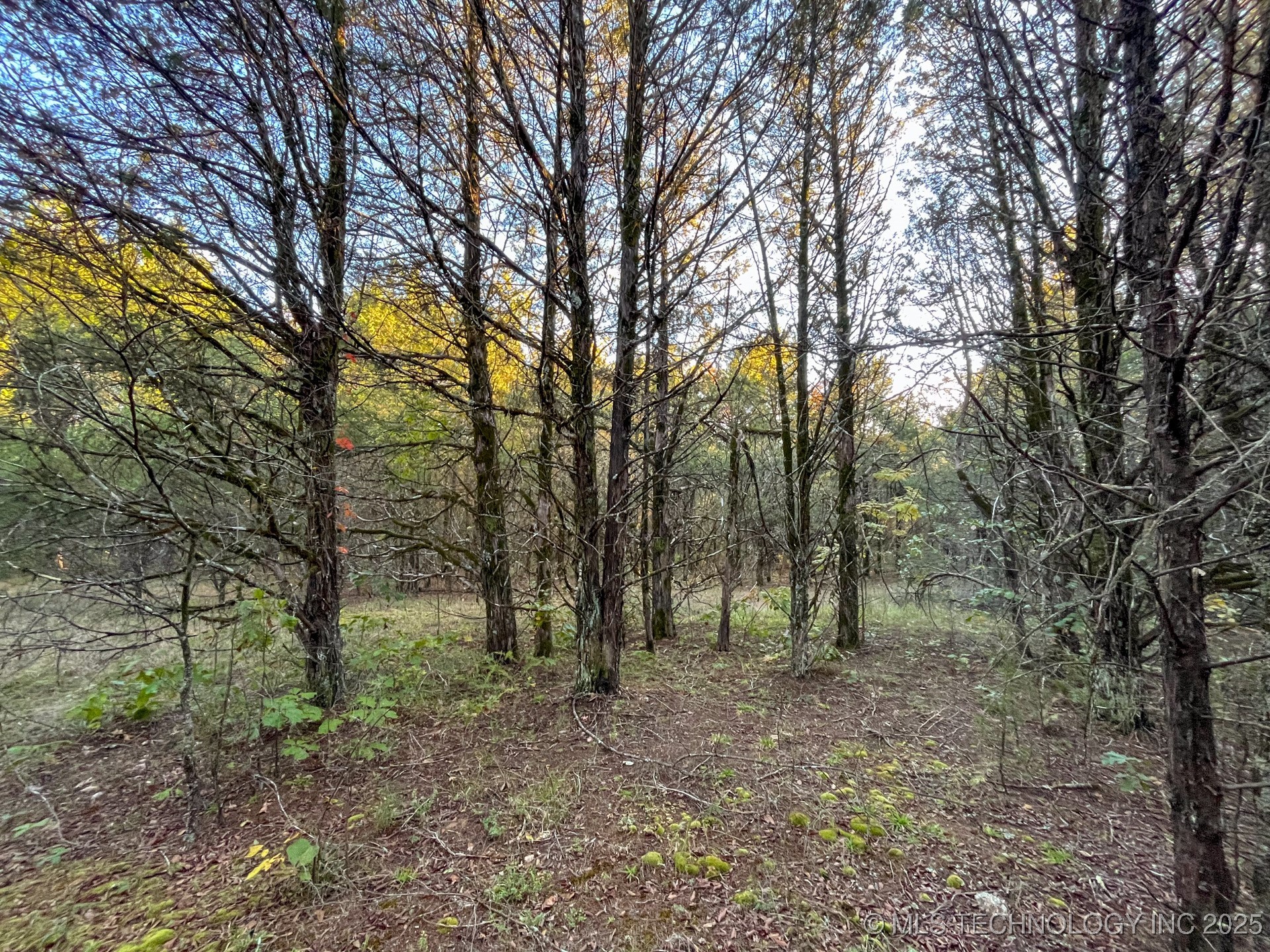 80 E 1000 Road Property Photo 18