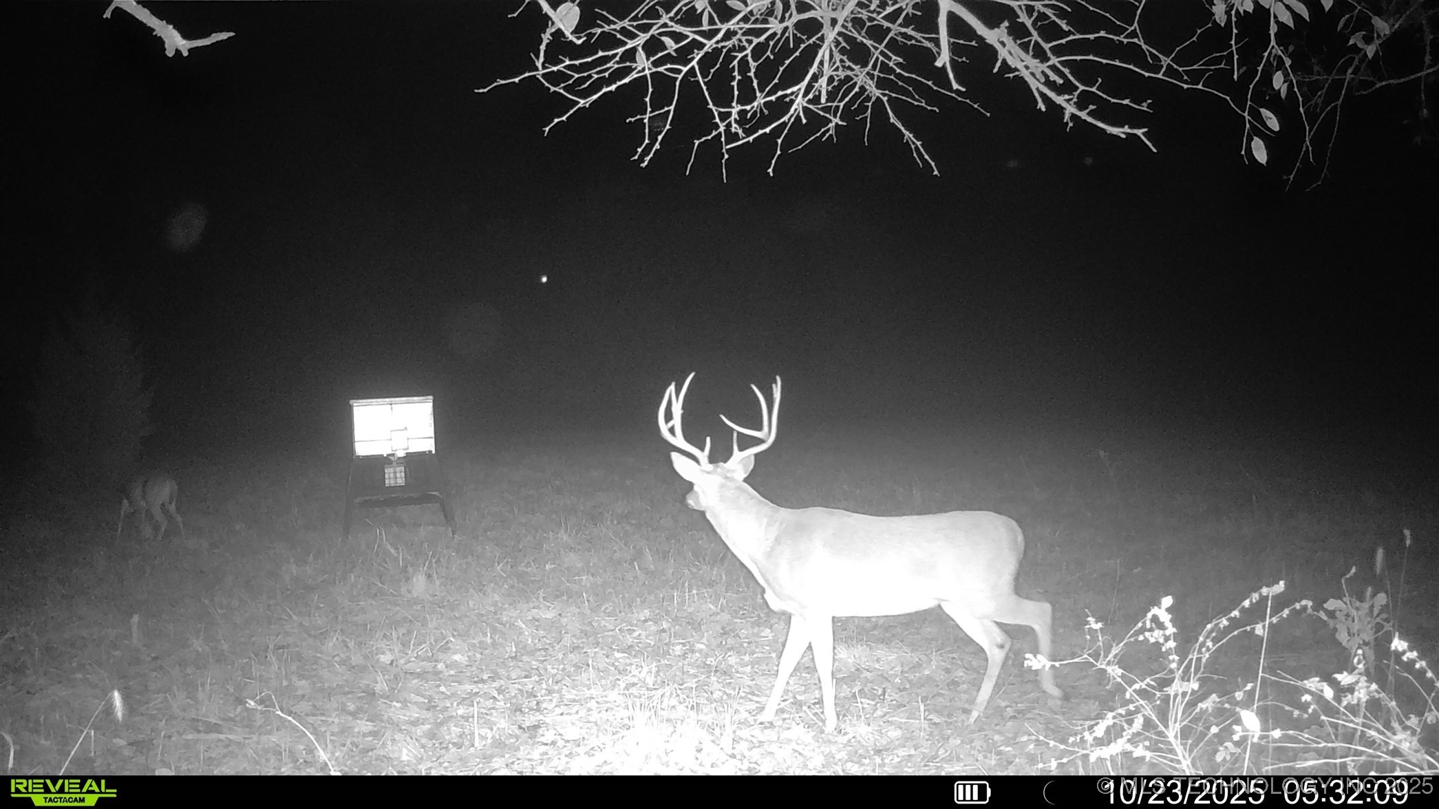 N 386 Property Photo 1