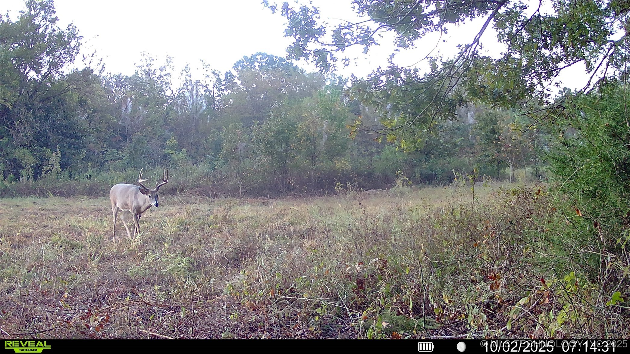 N 386 Property Photo 2