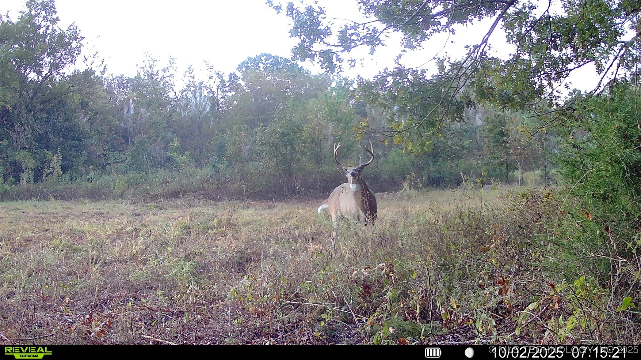 N 386 Property Photo 3