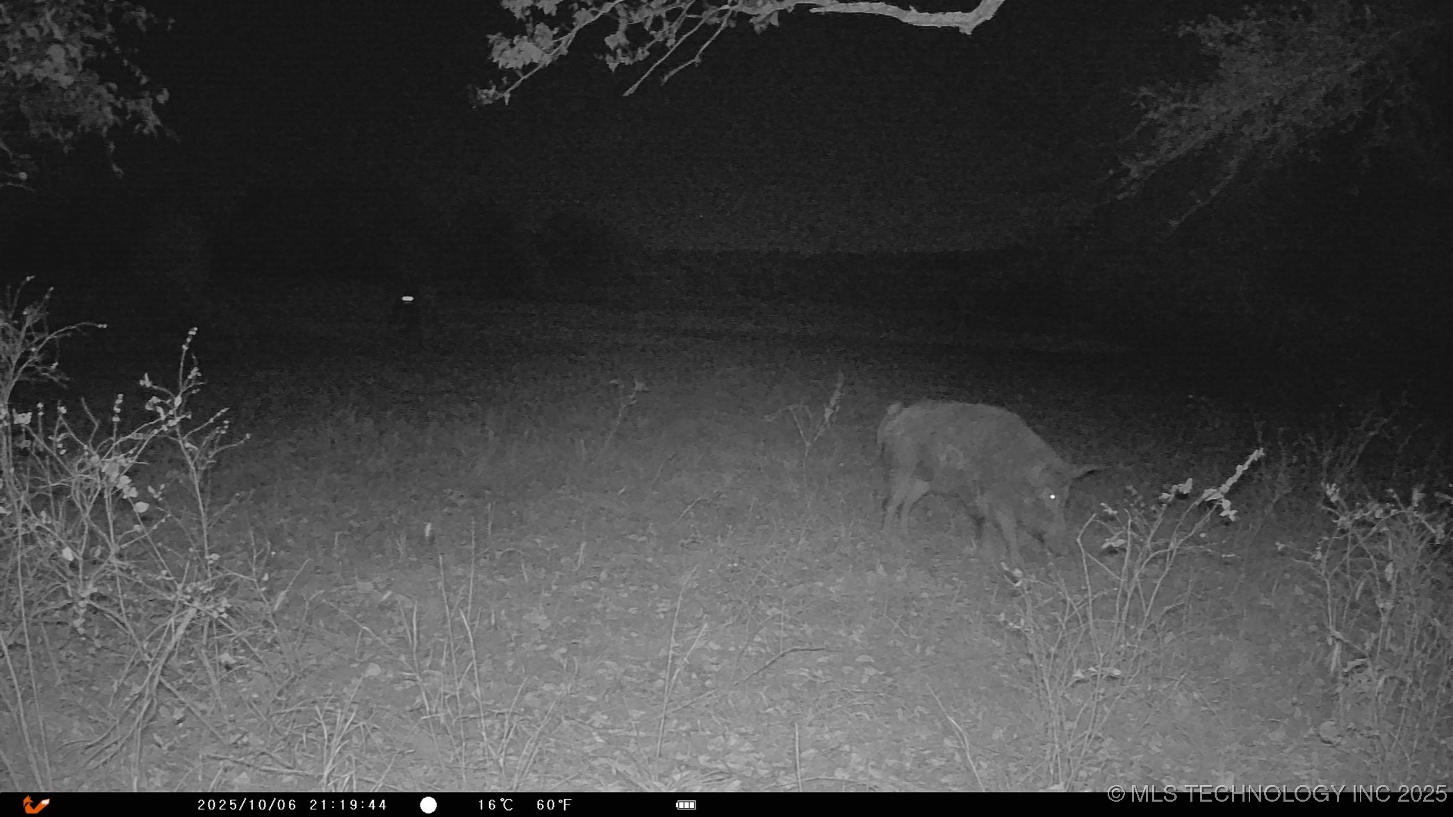 N 386 Property Photo 4