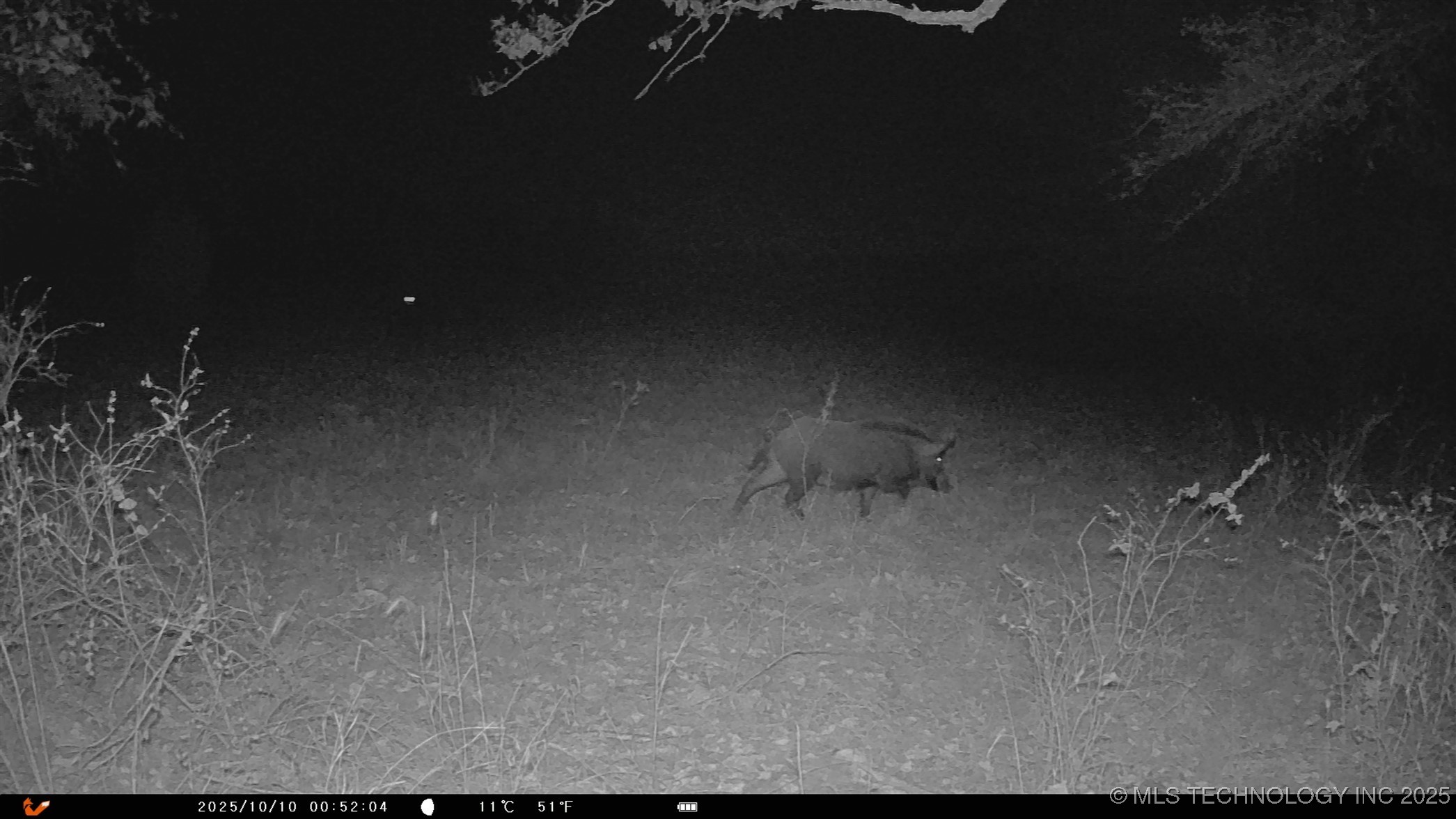 N 386 Property Photo 5