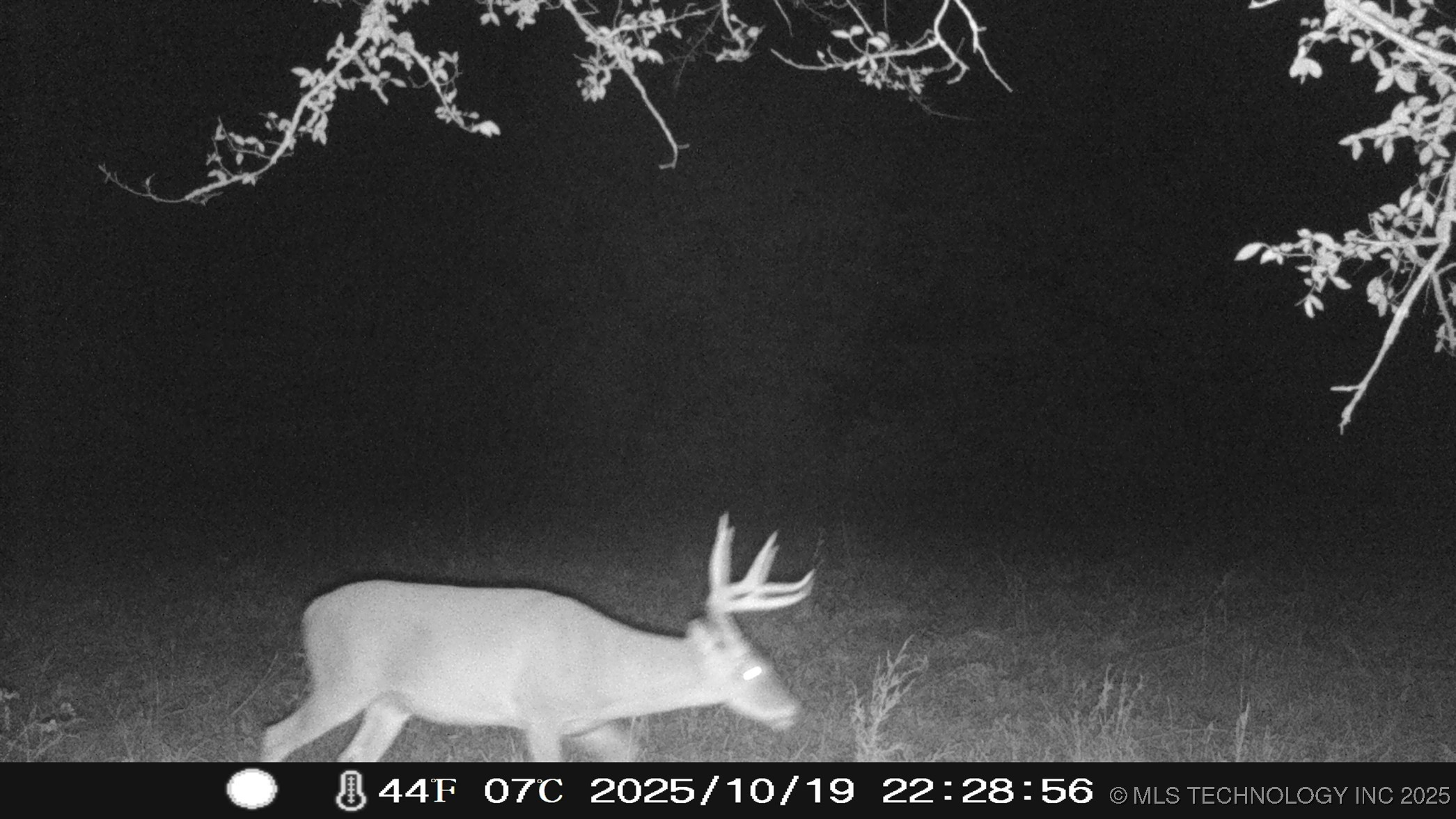 N 386 Property Photo 6