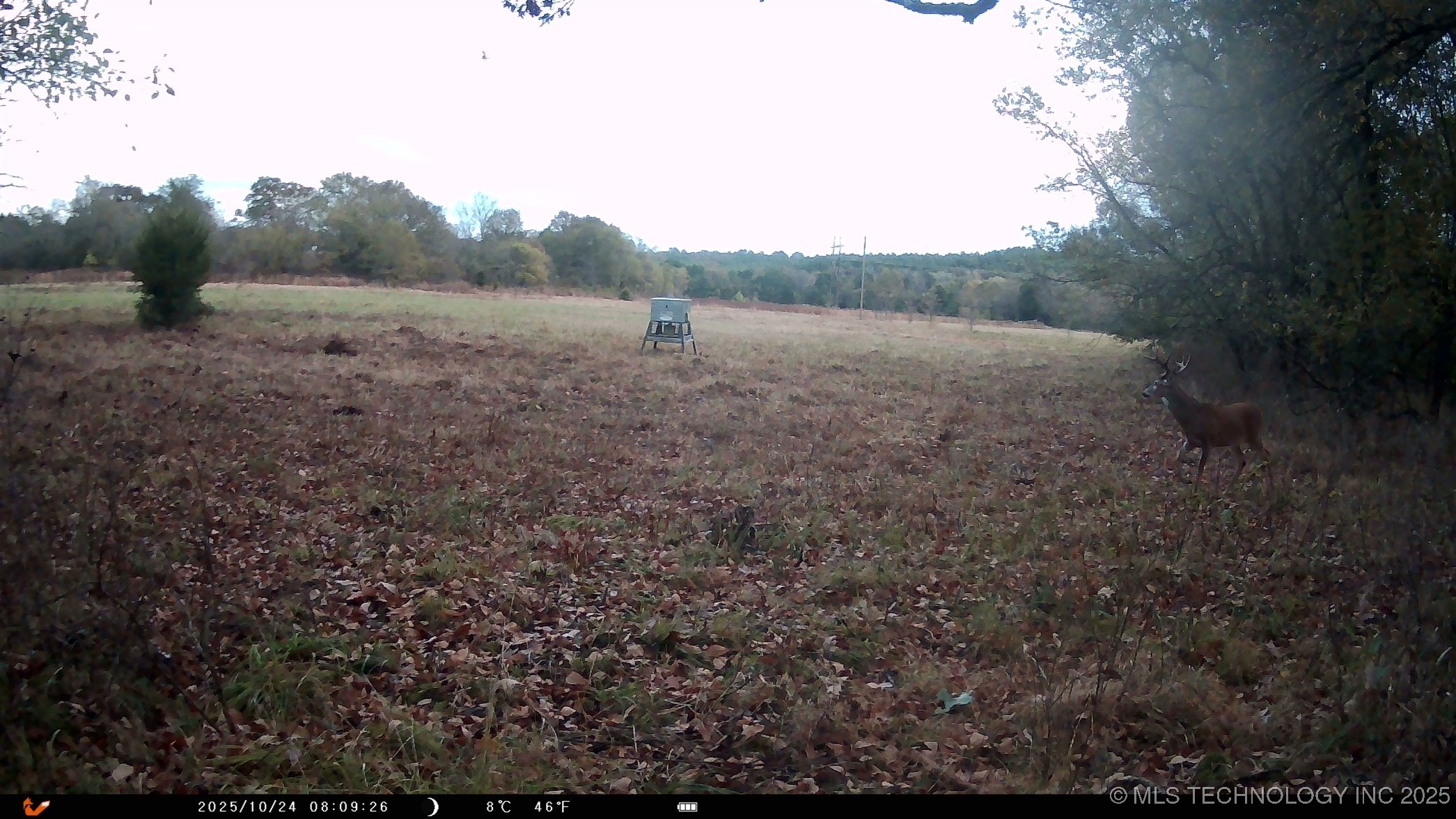 N 386 Property Photo 7