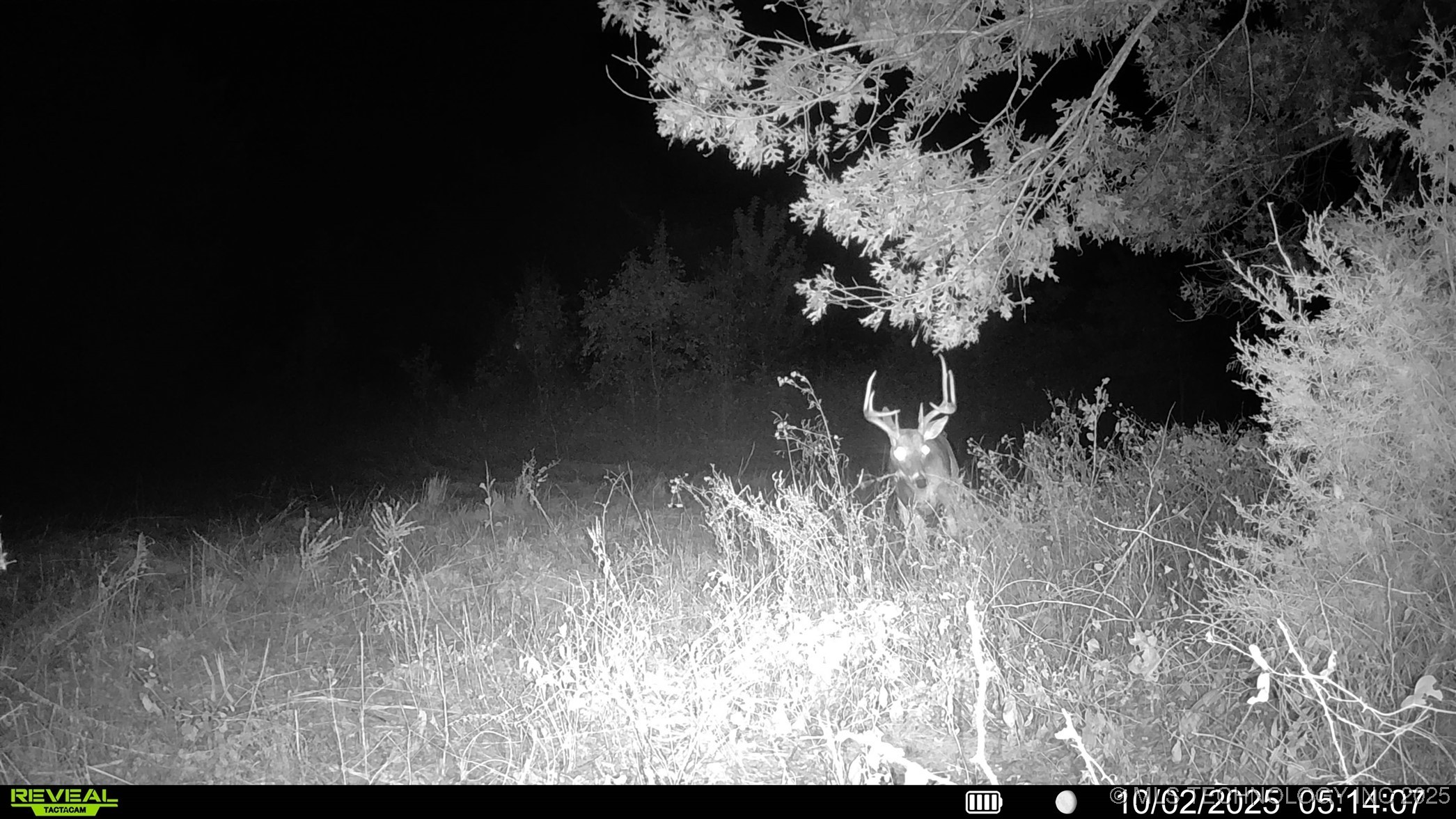 N 386 Property Photo 8