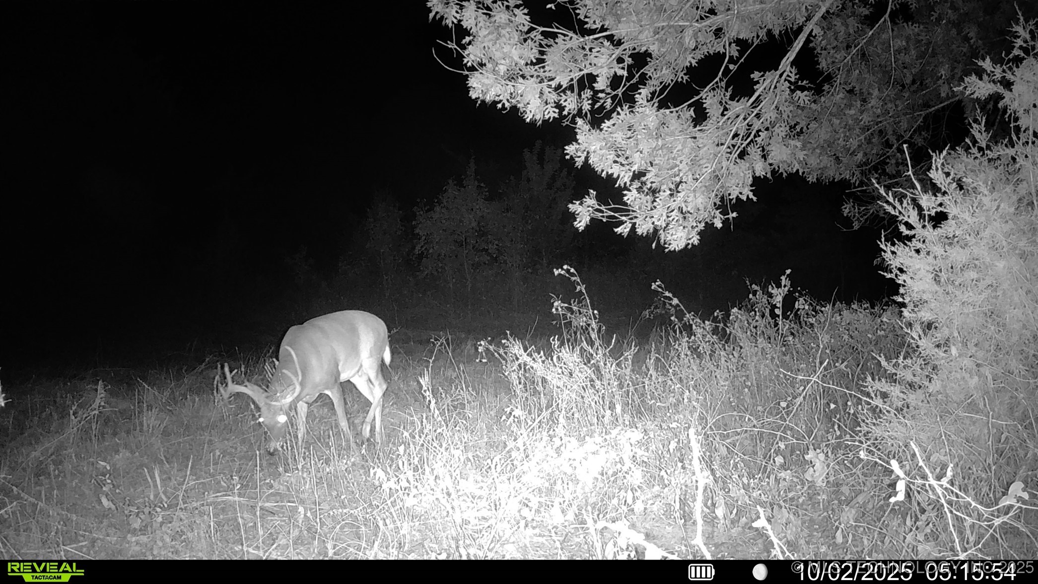 N 386 Property Photo 9