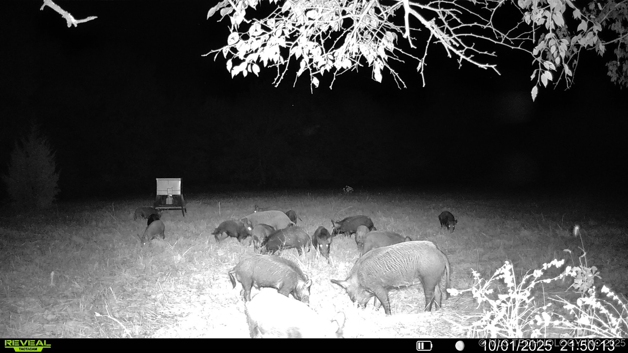 N 386 Property Photo 10